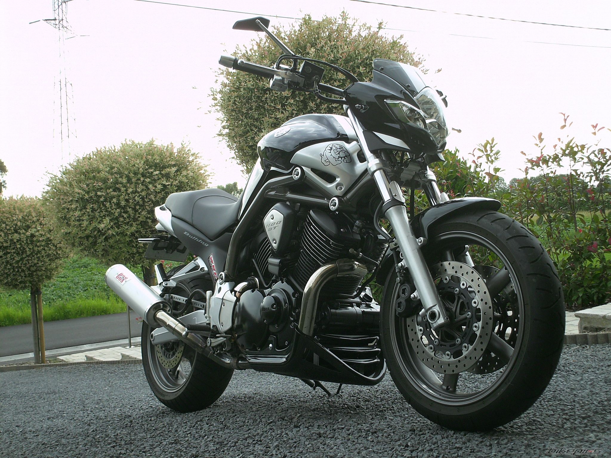 Photo 2428168