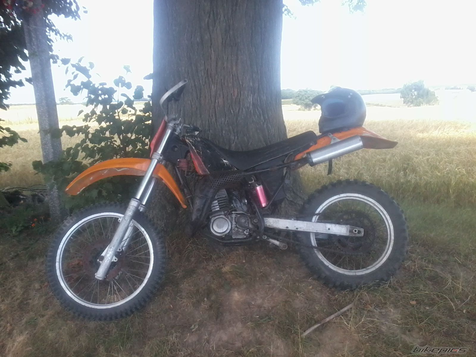 Photo 2428171
