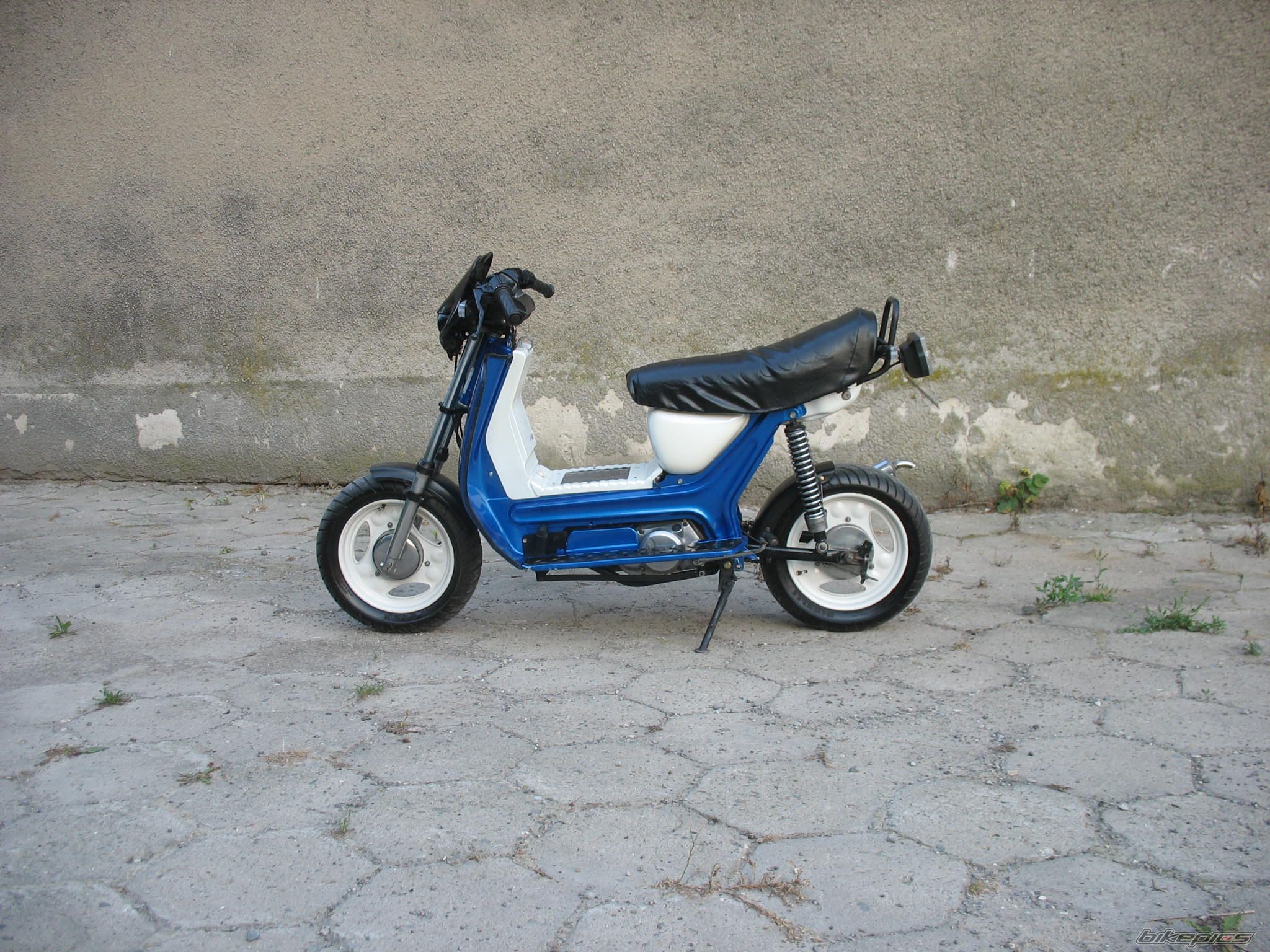 Photo 2428184