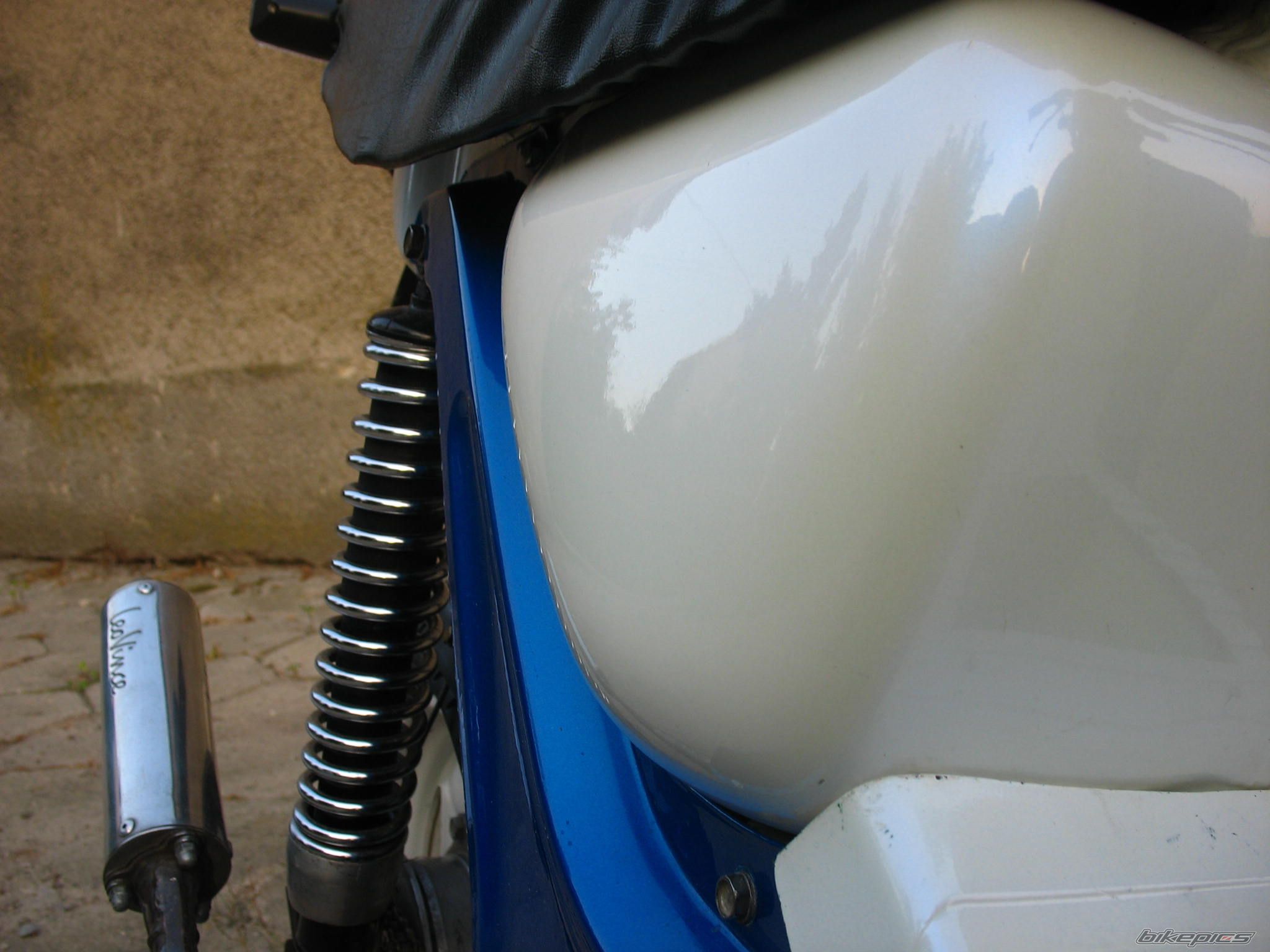 Photo 2428215