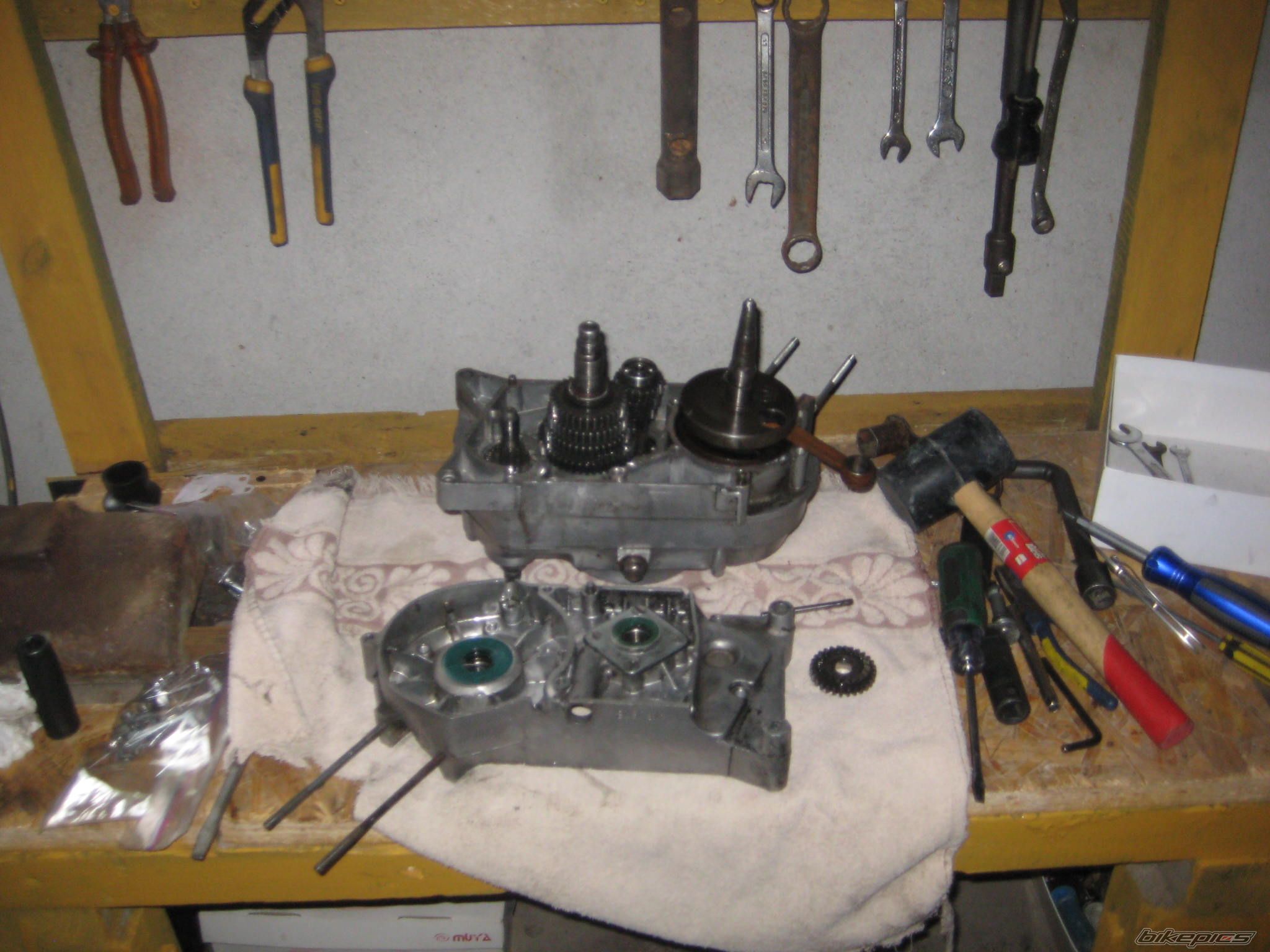 Photo 2428253