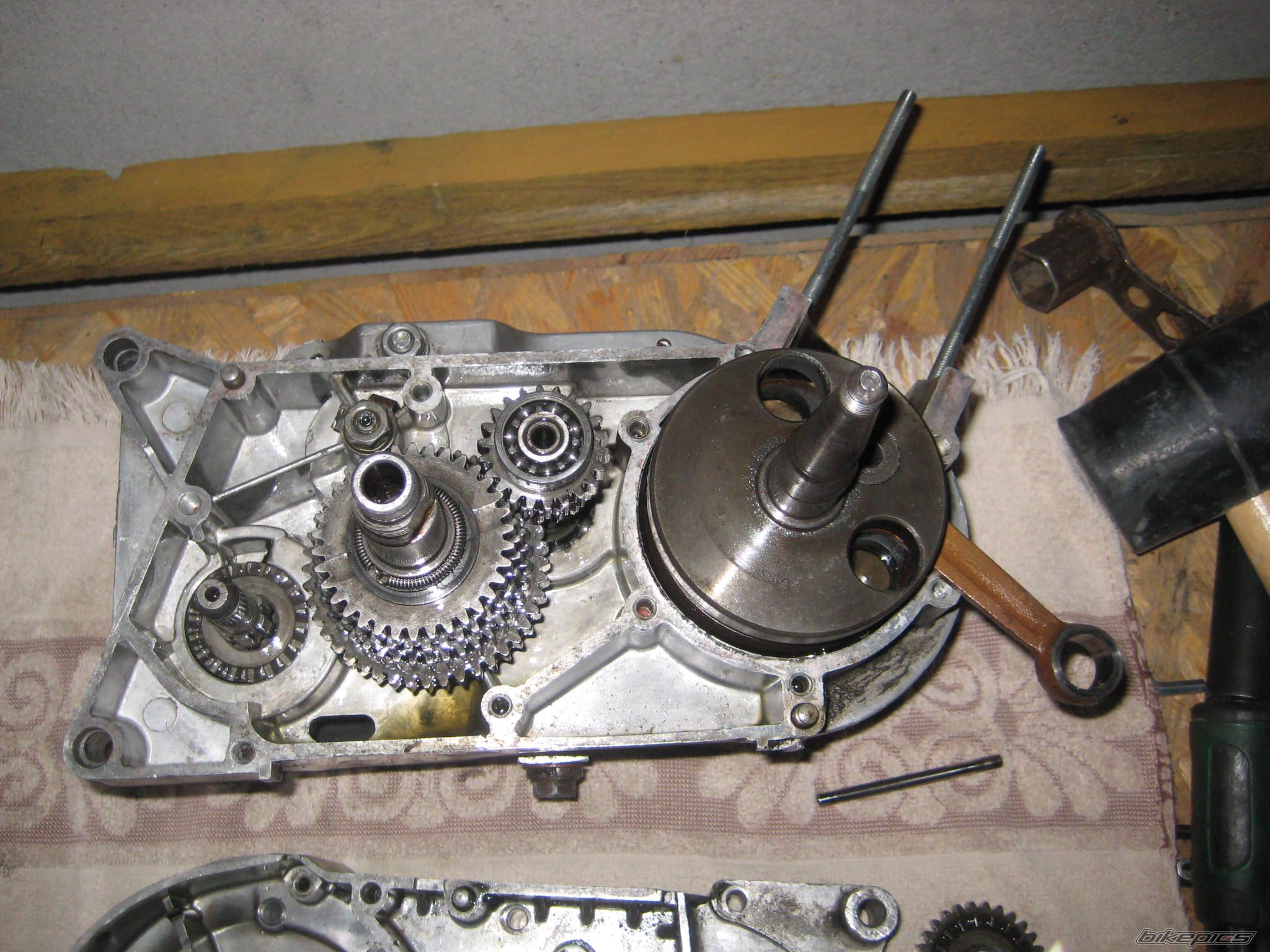 Photo 2428254
