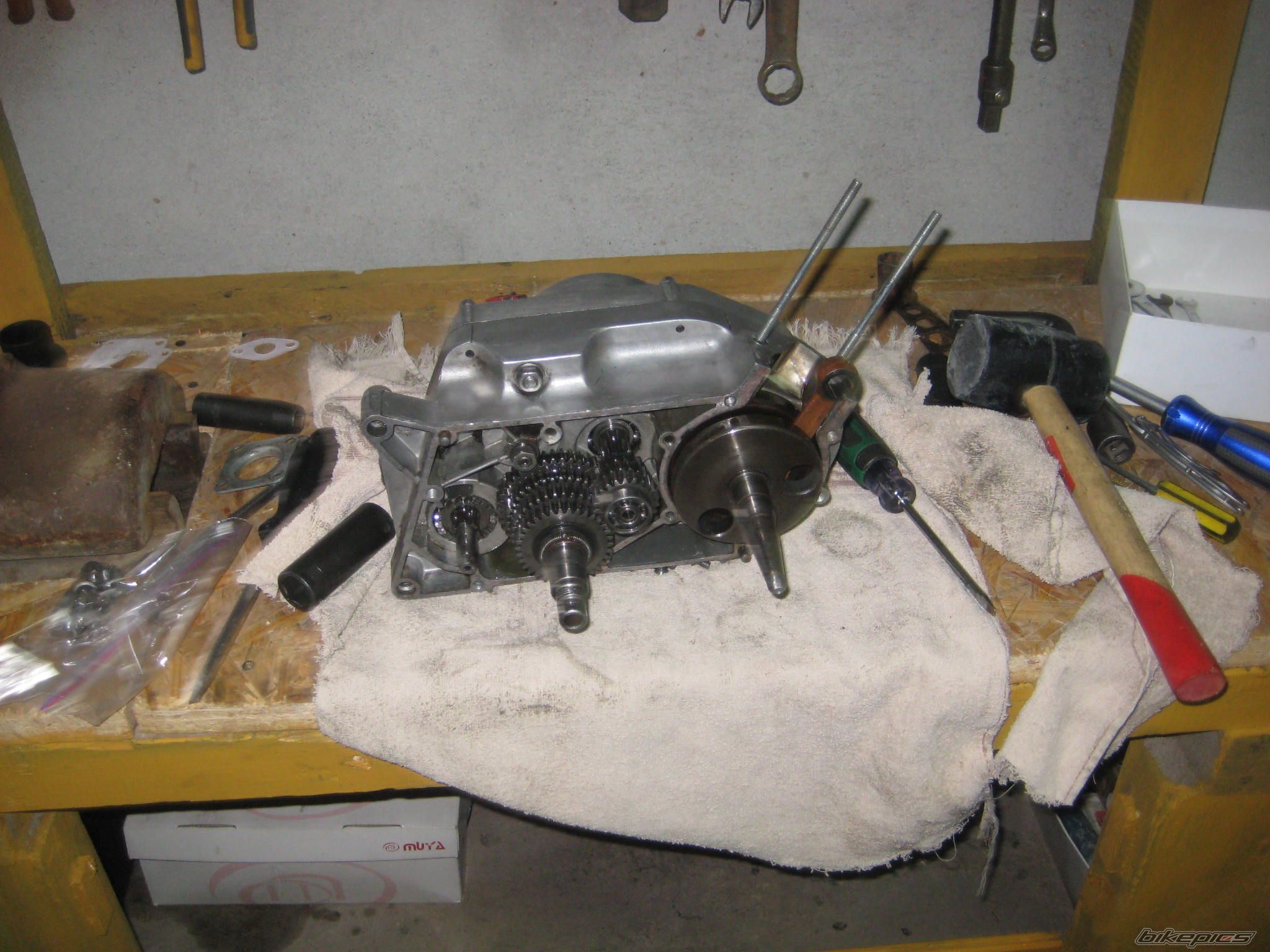 Photo 2428257