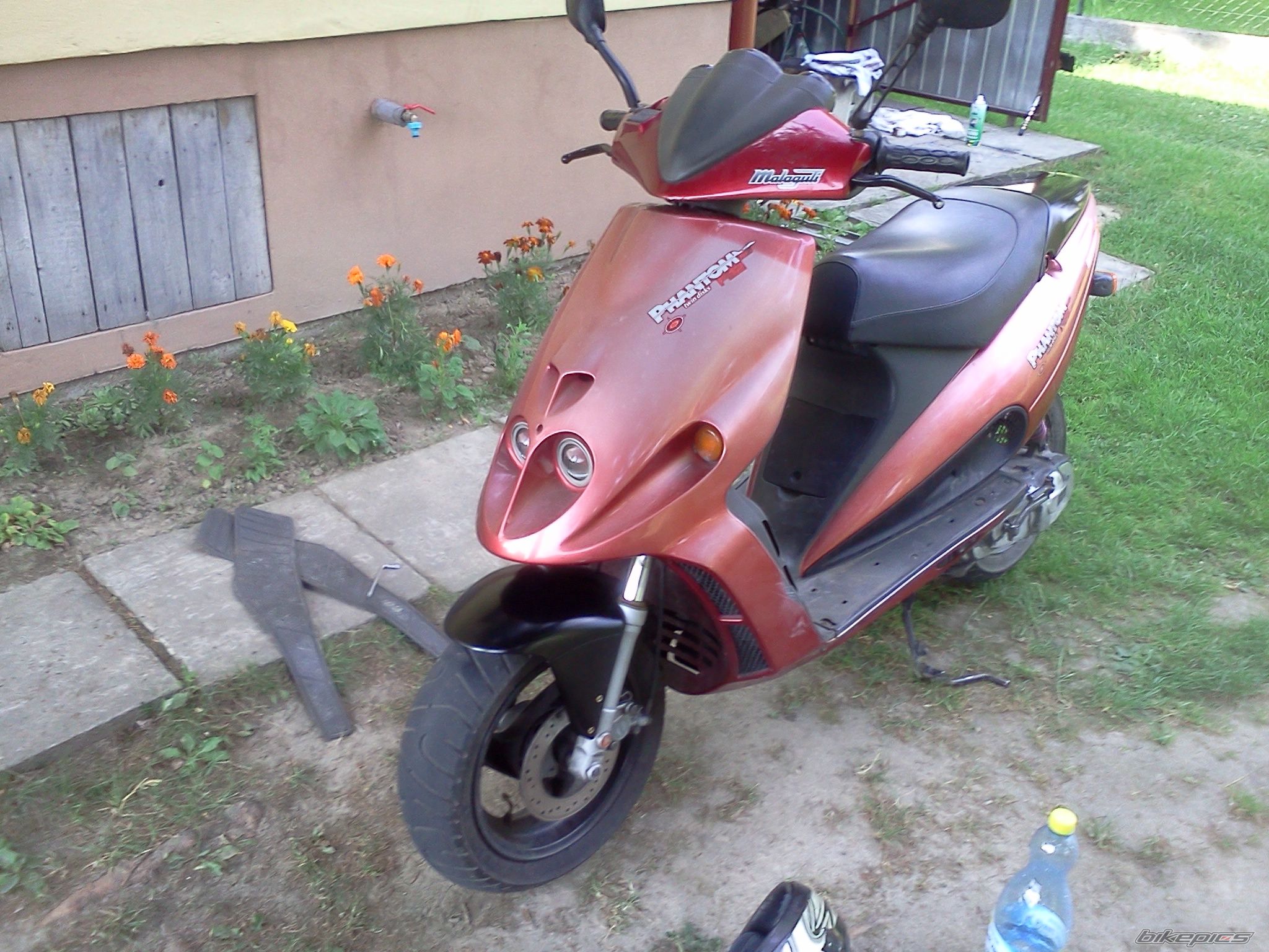 Photo 2428314
