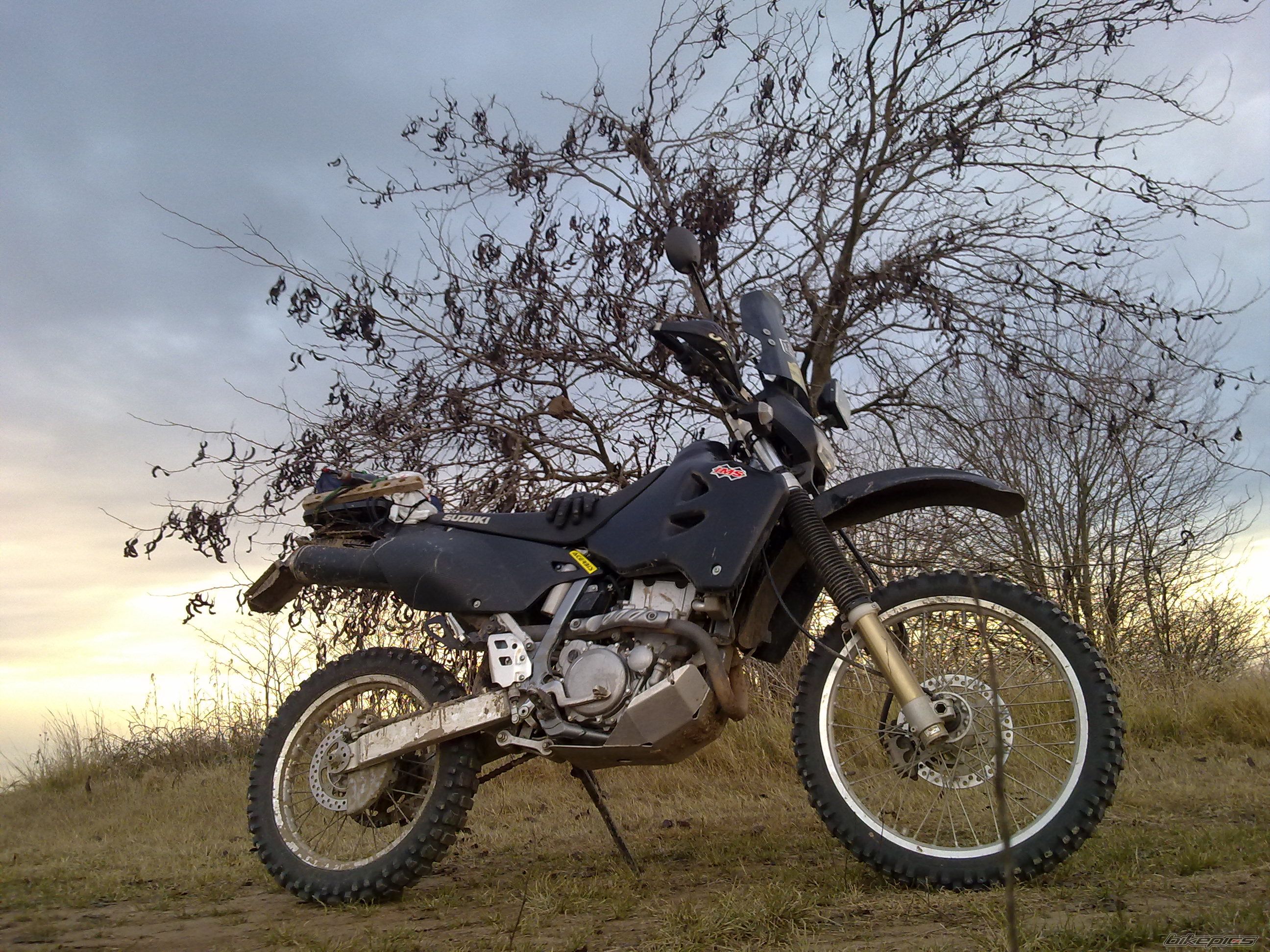 Photo 2428345