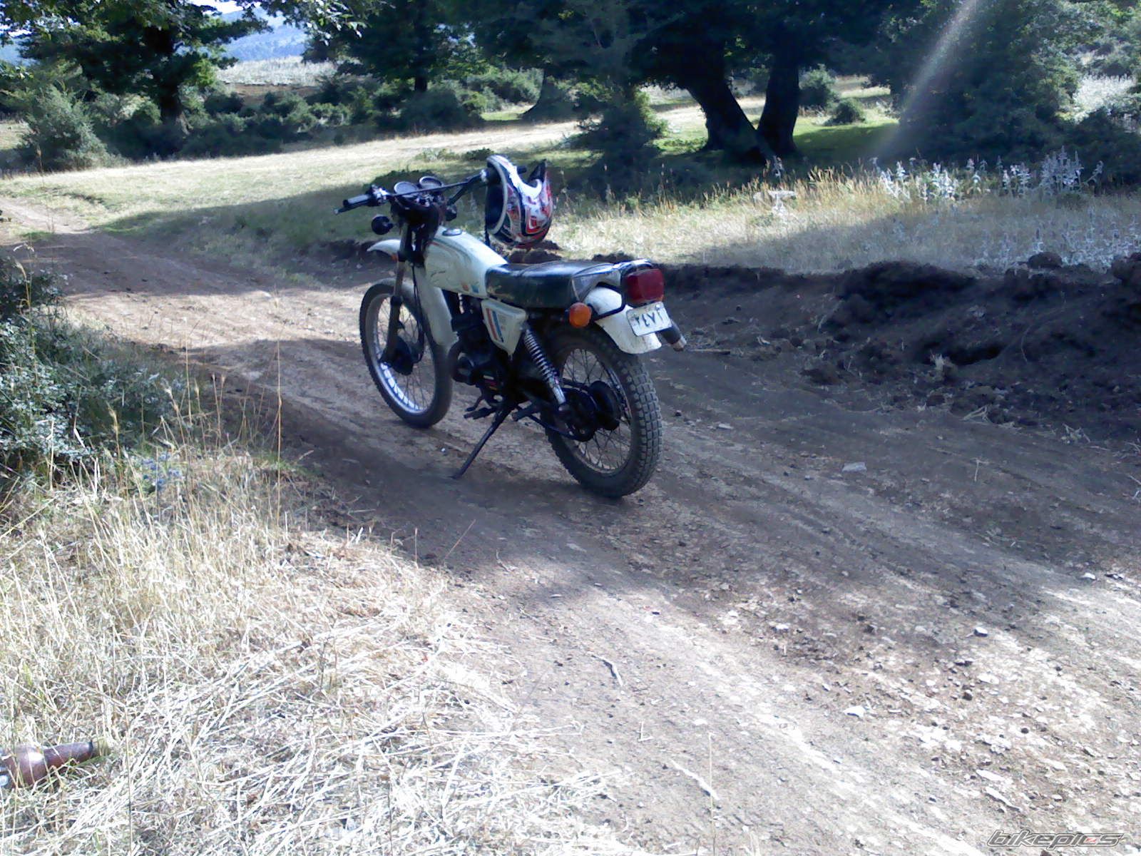 Photo 2428374