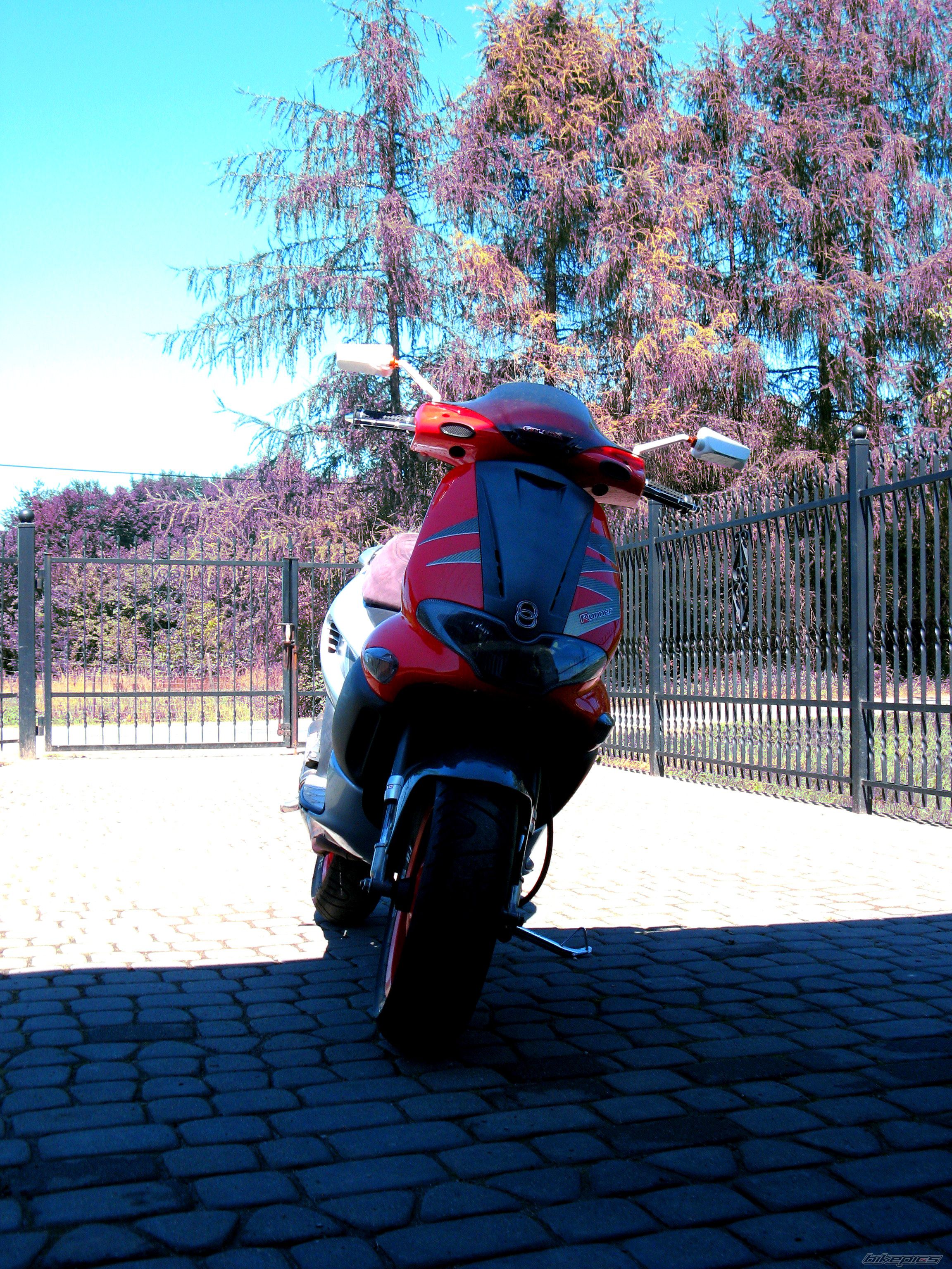 Photo 2428395