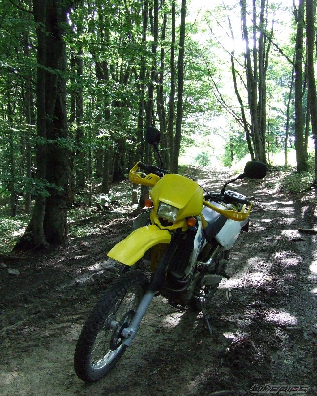 Photo 2428503