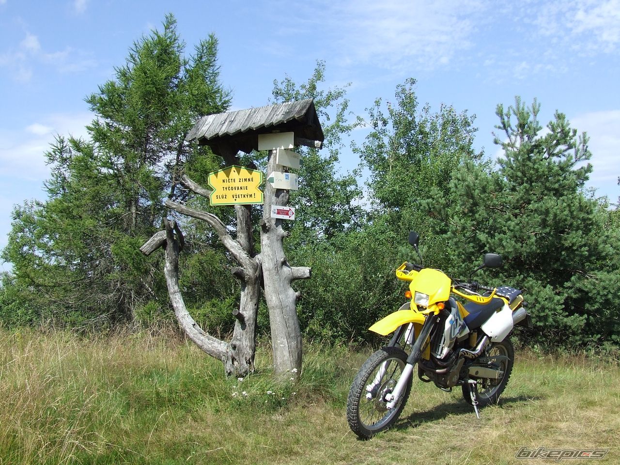 Photo 2428510