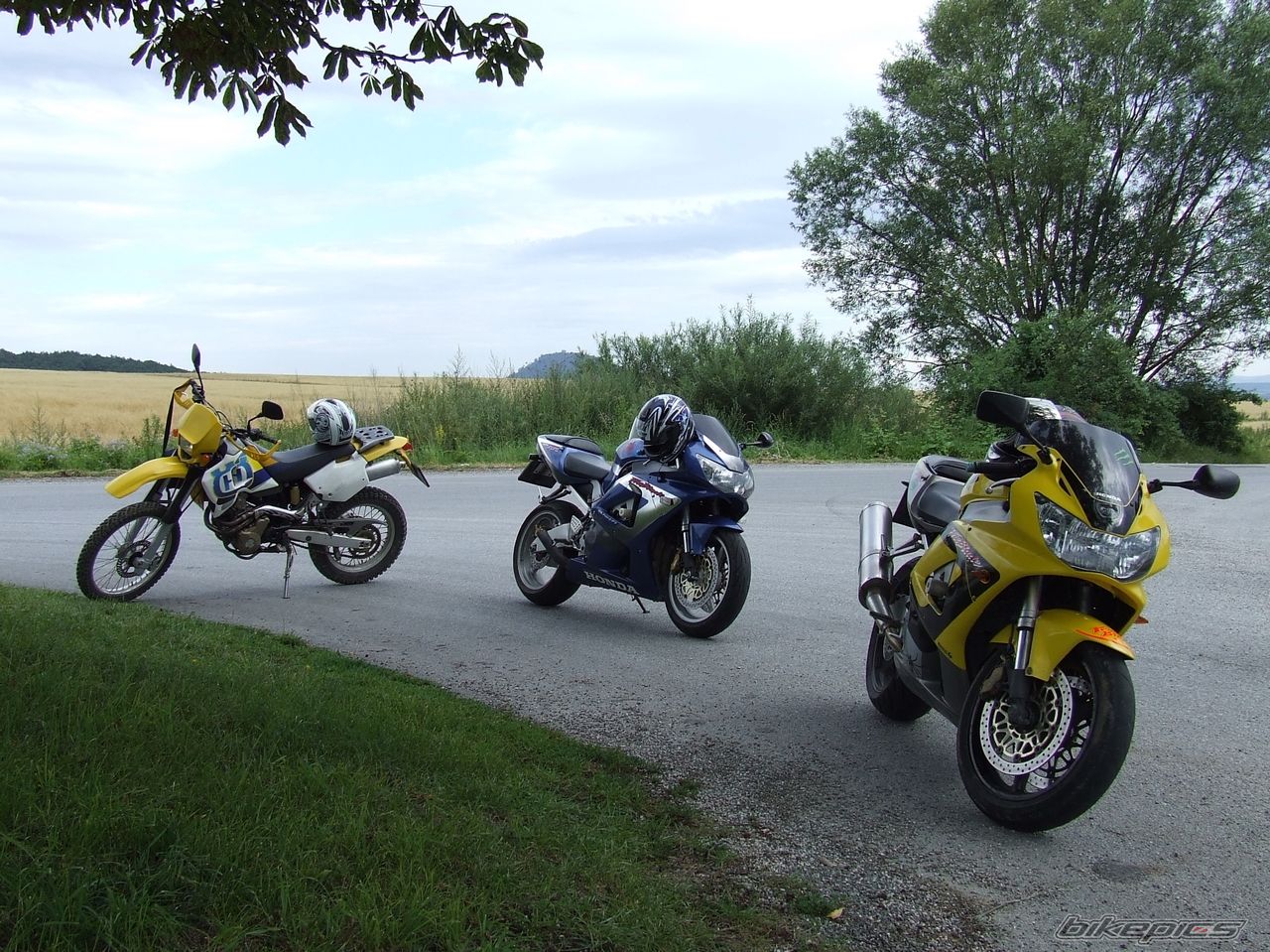 Photo 2428514