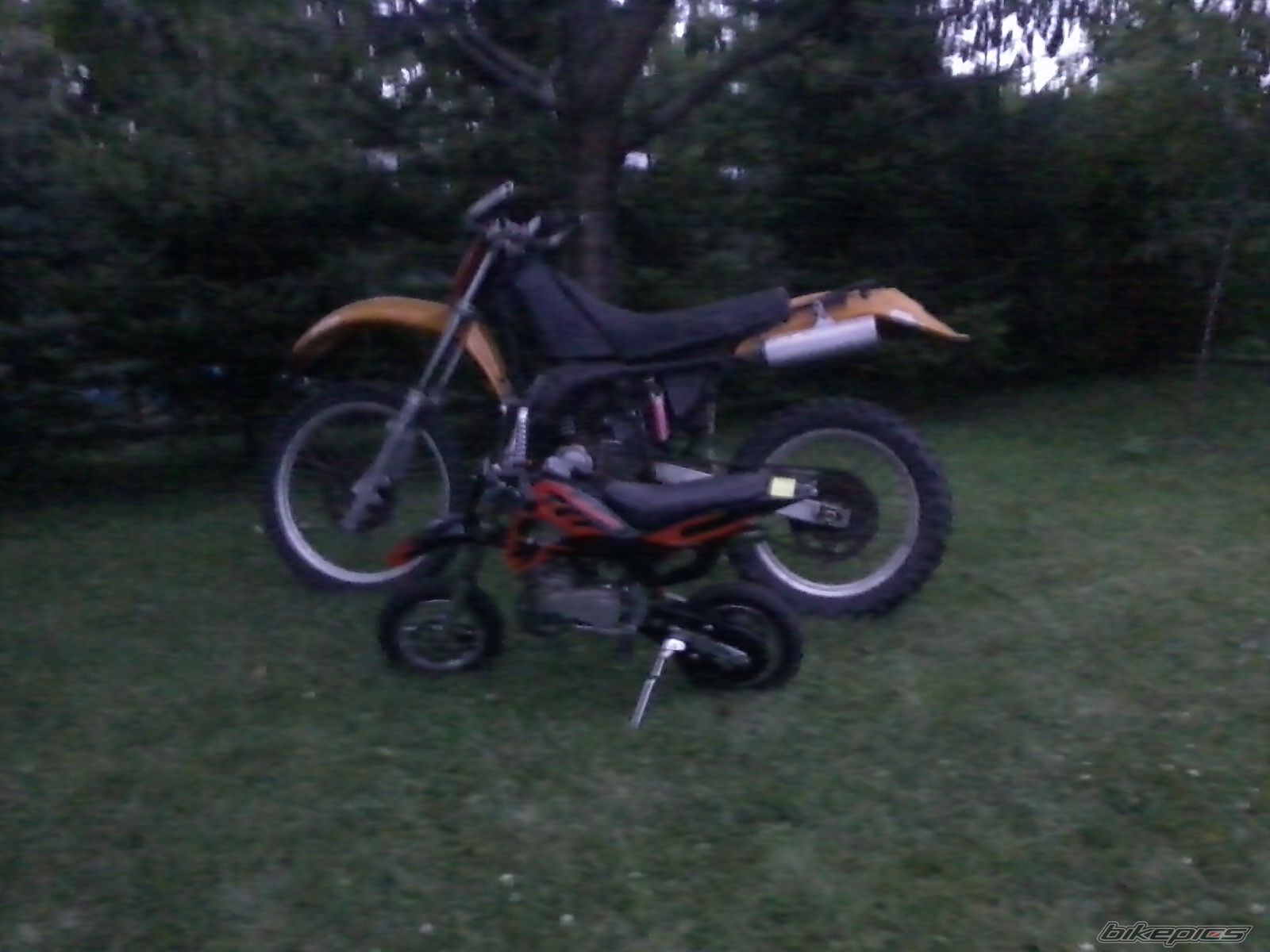Photo 2428592