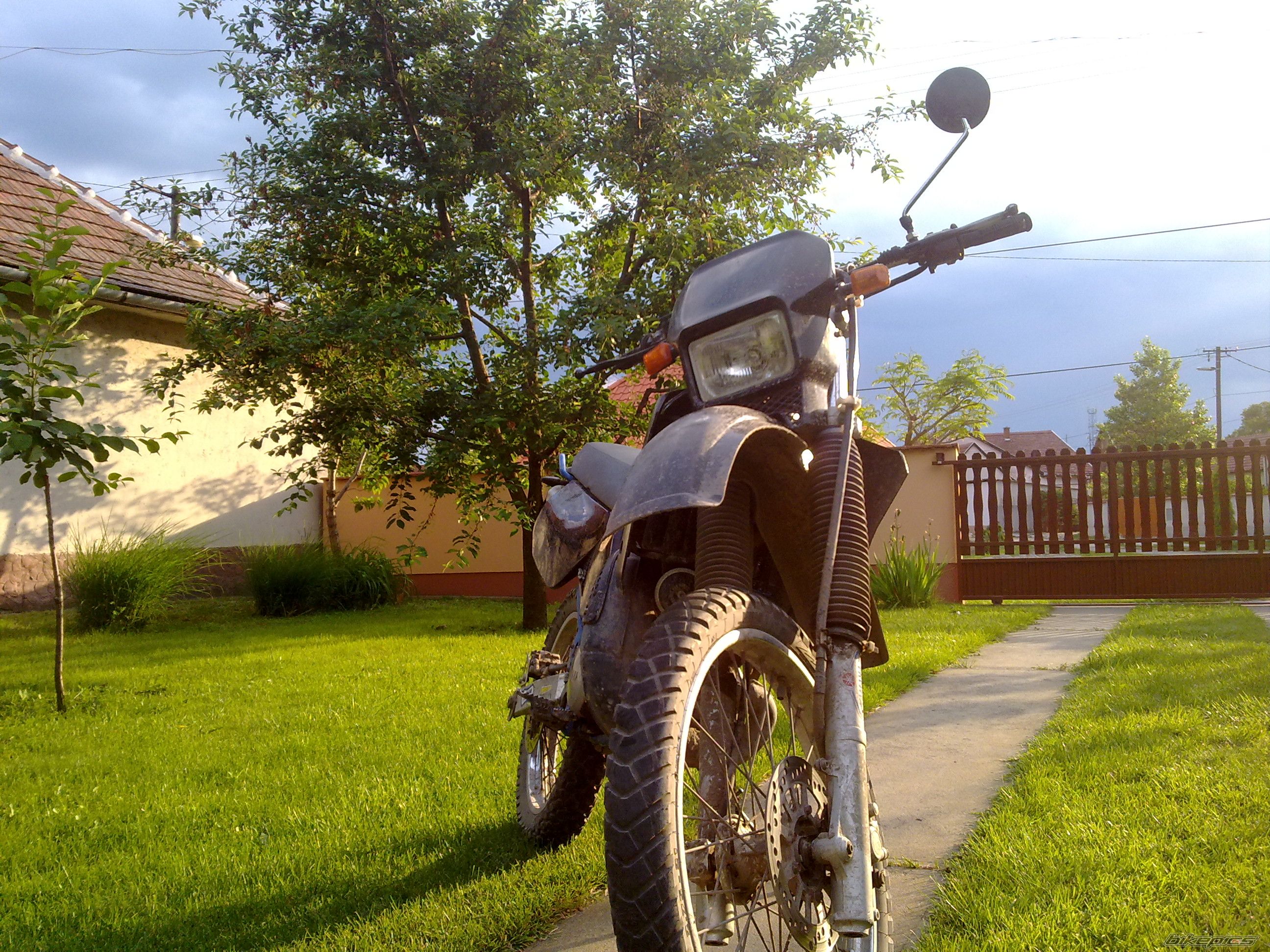 Bike Photo 2428768