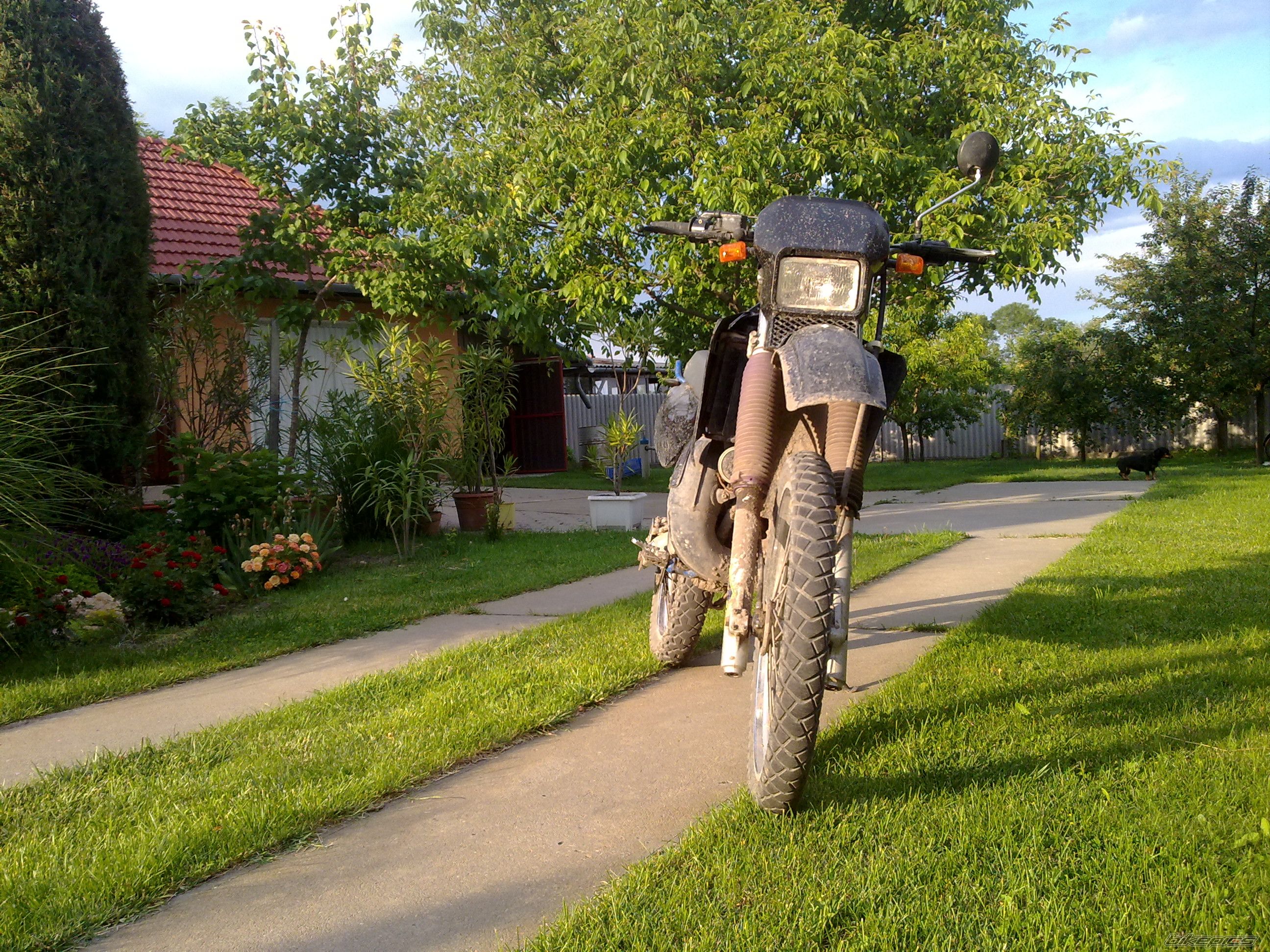 Photo 2428773