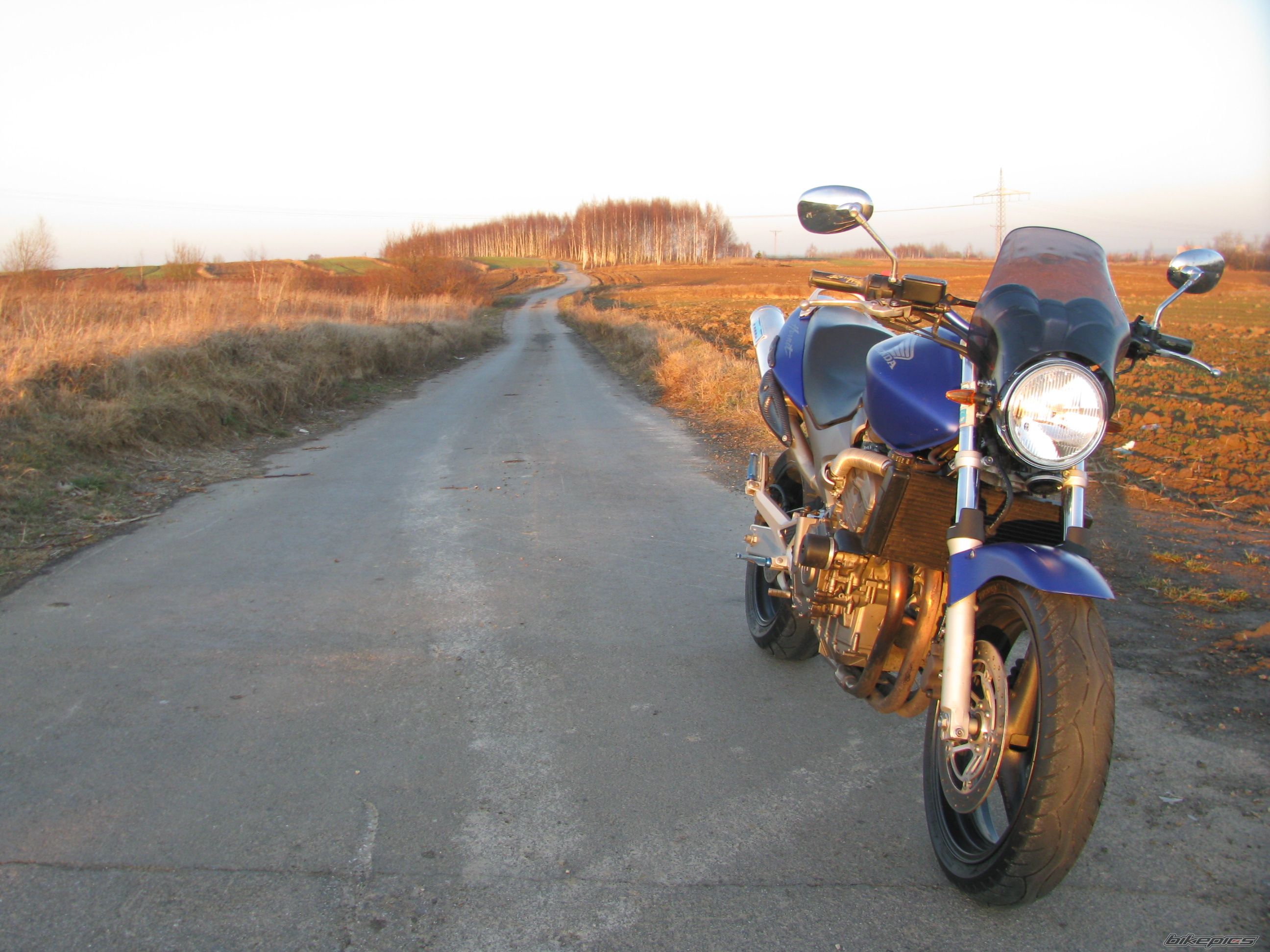 Photo 2428775
