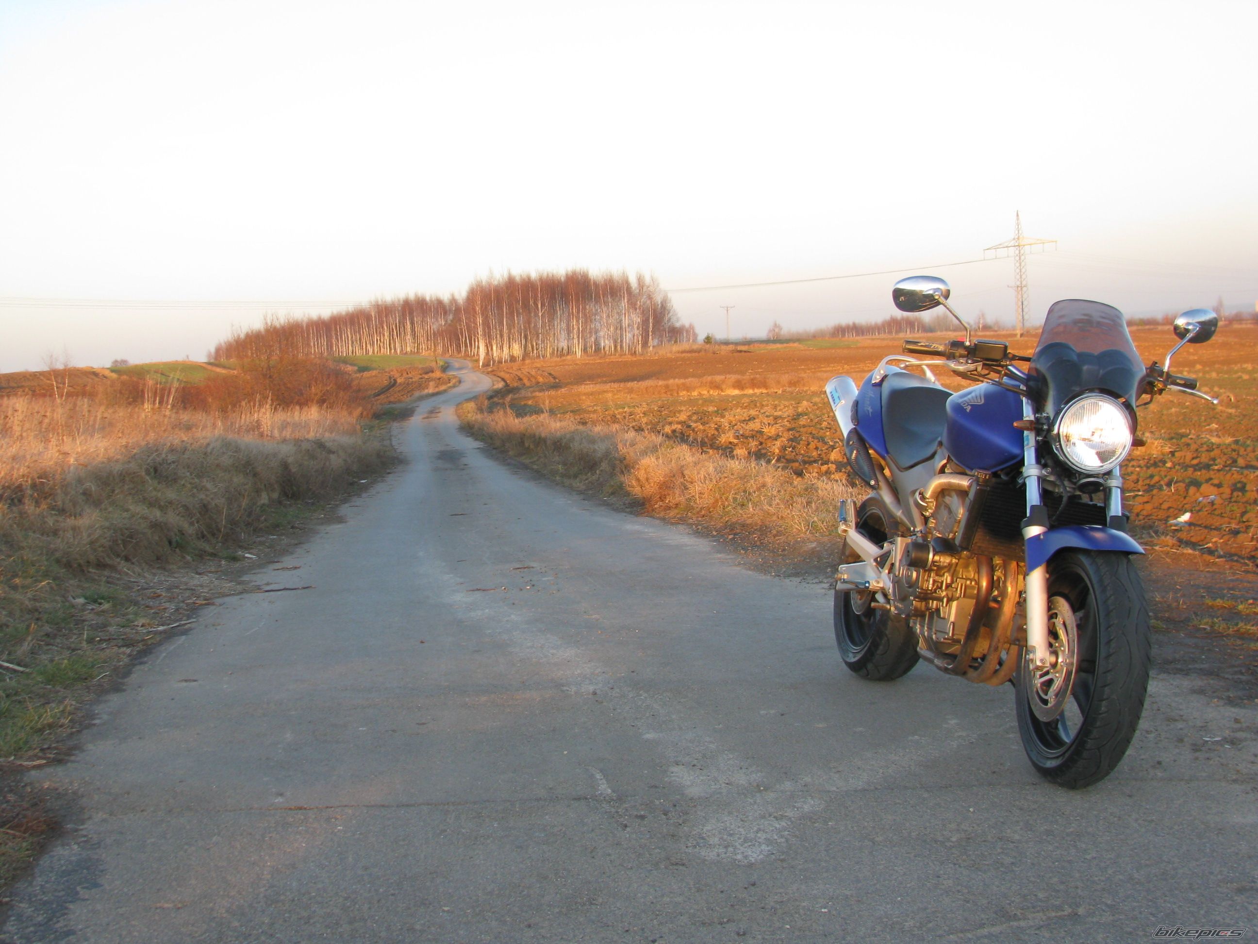 Photo 2428776