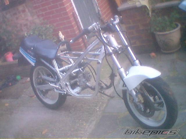 Photo 242887