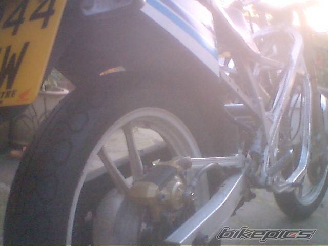 Photo 242891