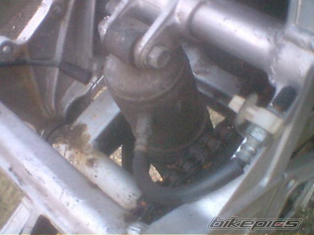 Photo 242892