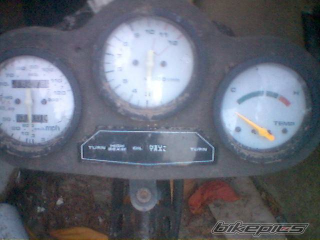 Photo 242893