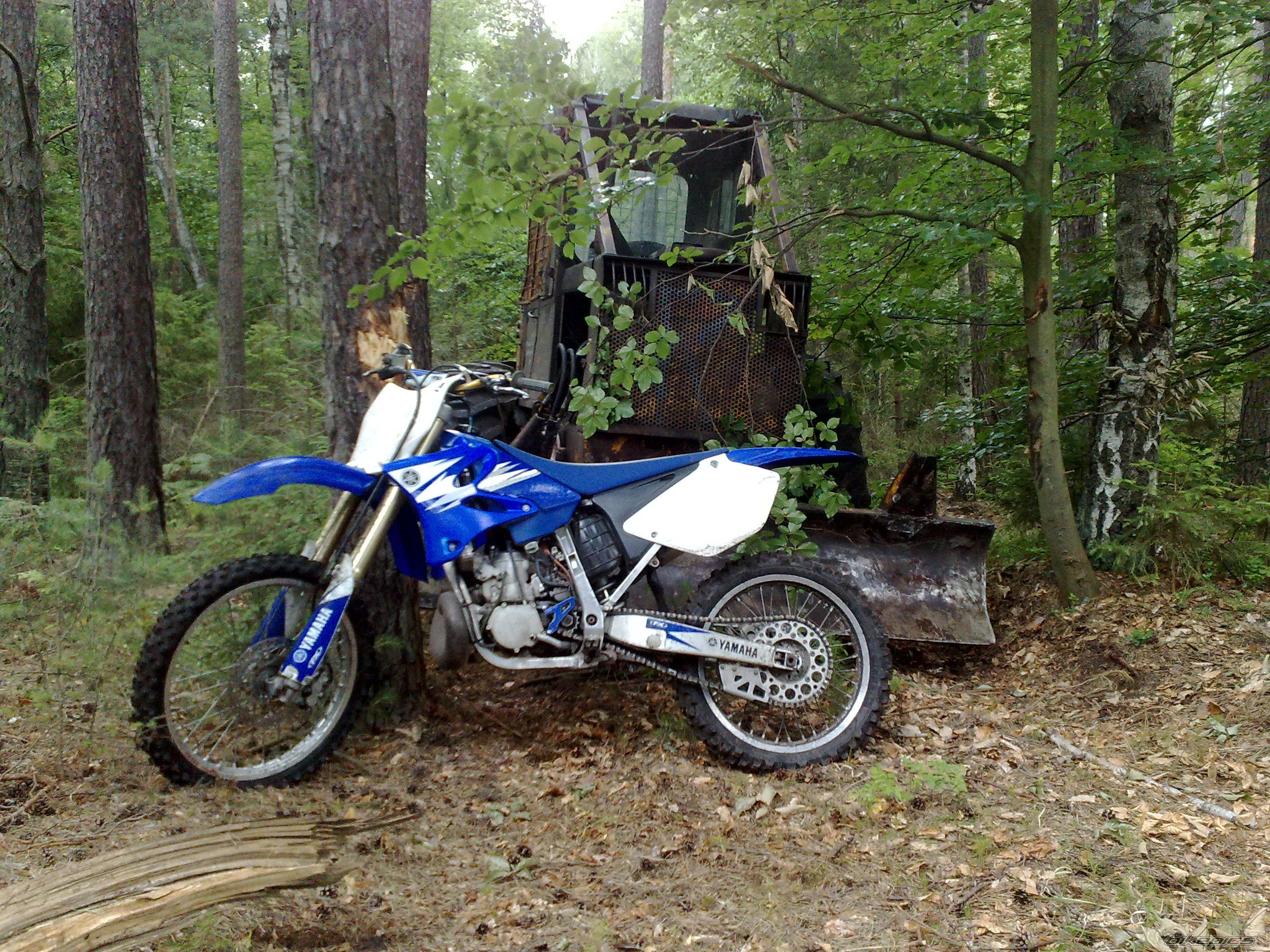 Photo 2428975