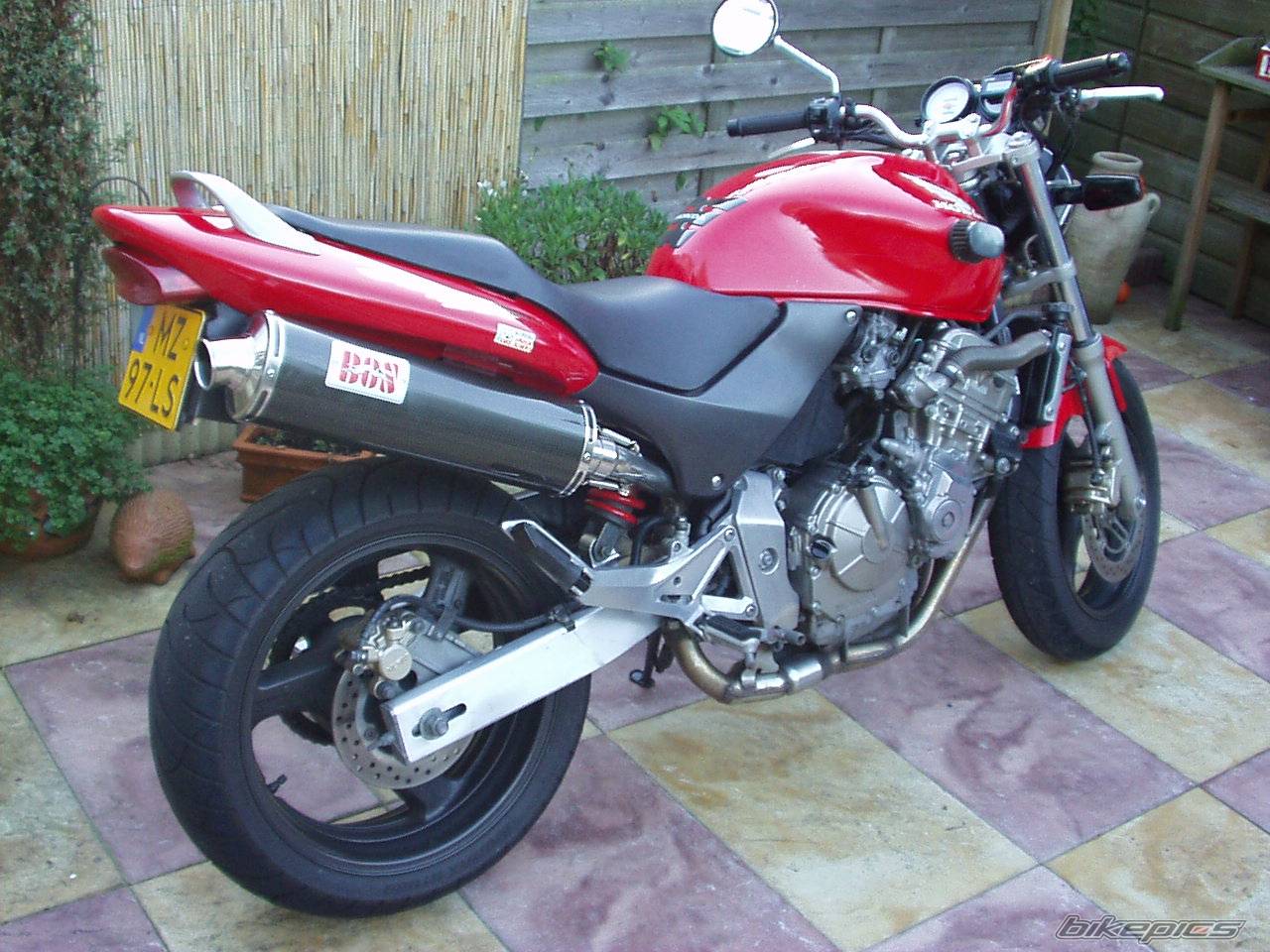 Photo 242904