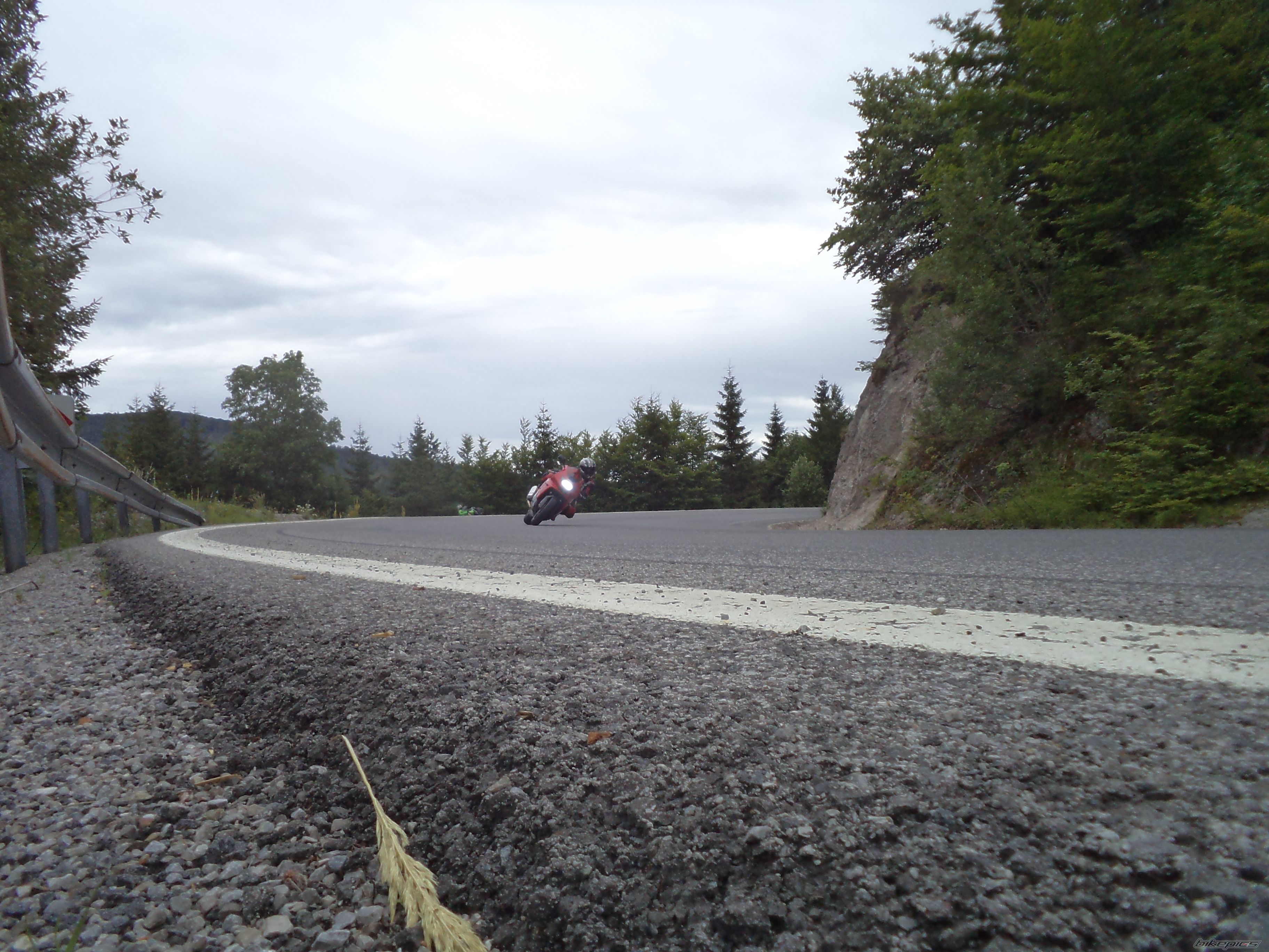 Photo 2429048