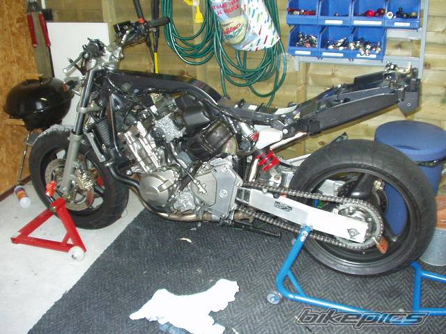 Photo 242909