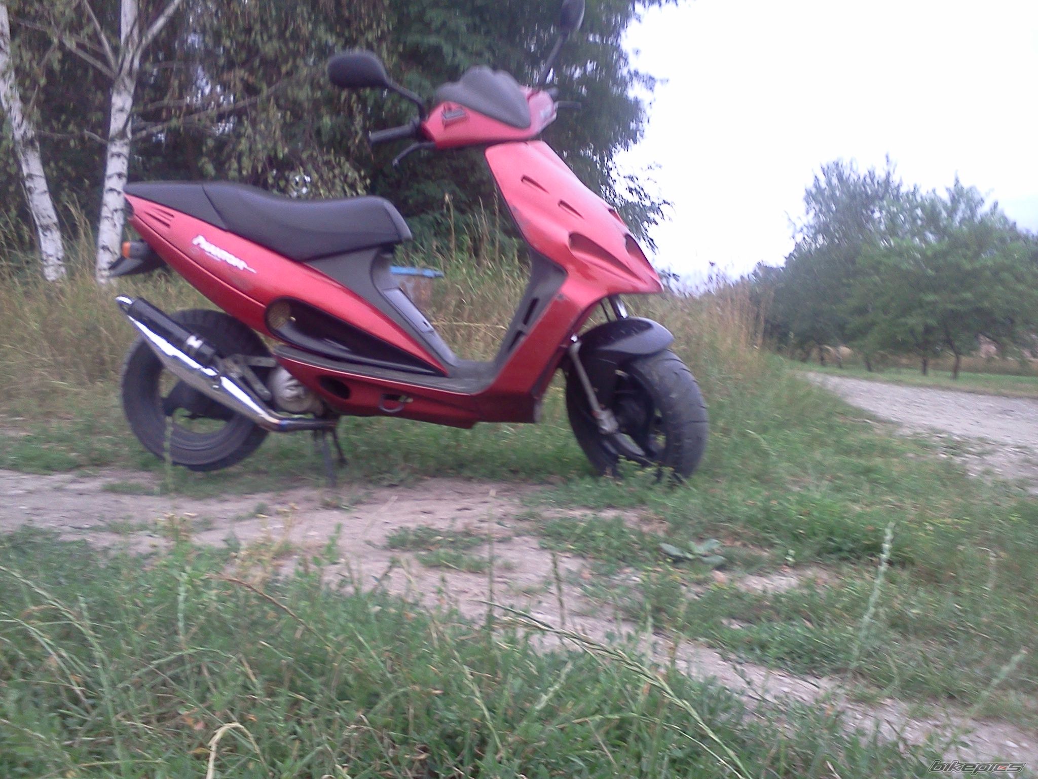 Photo 2429129