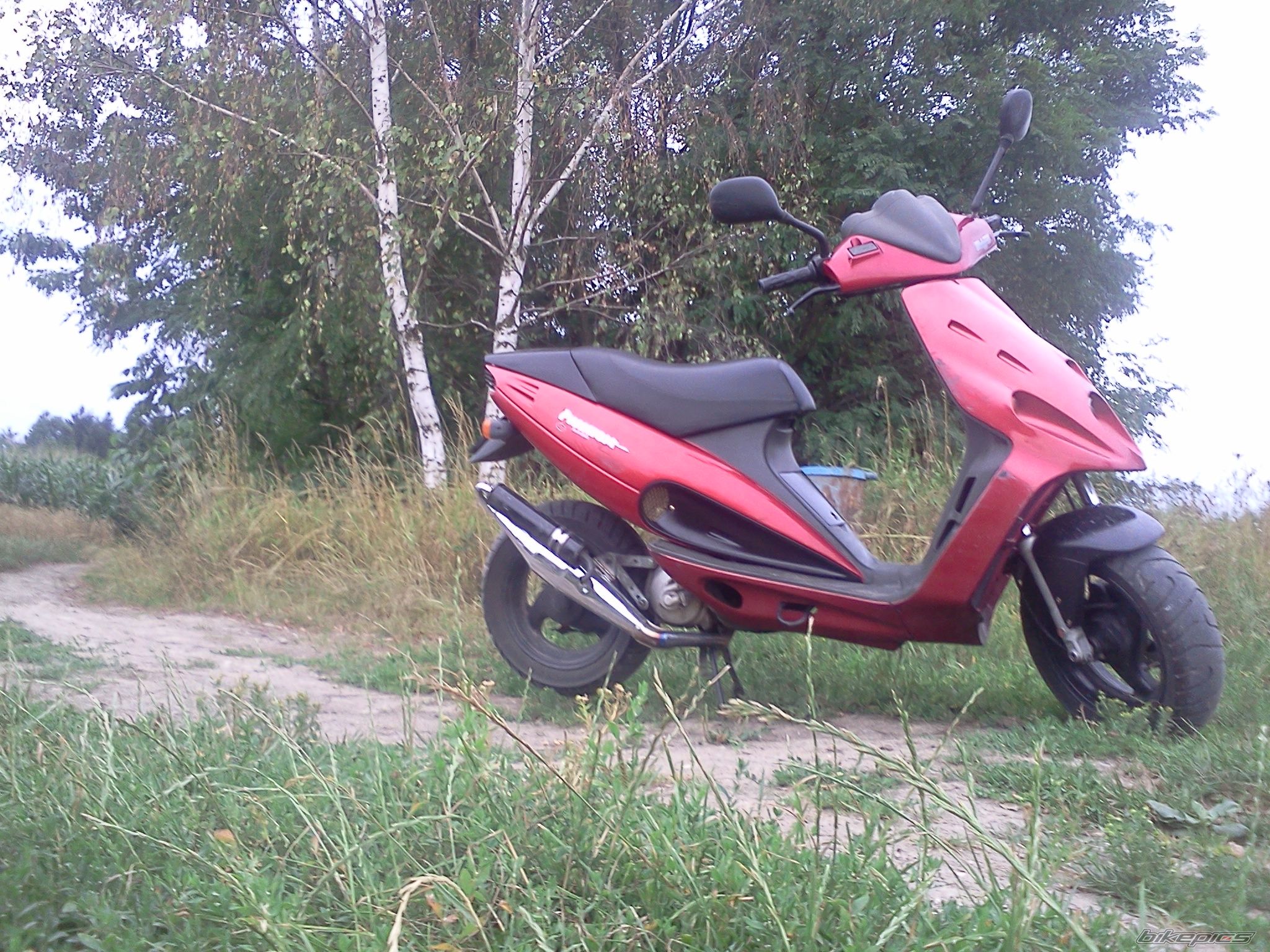 Photo 2429130