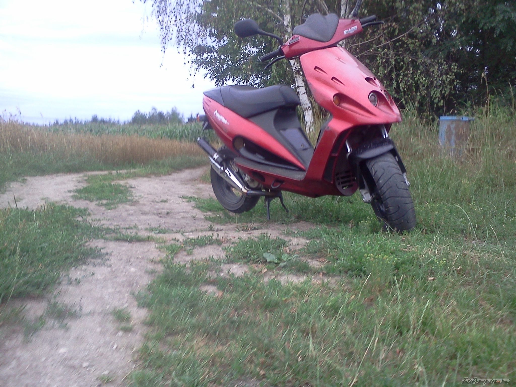Photo 2429132