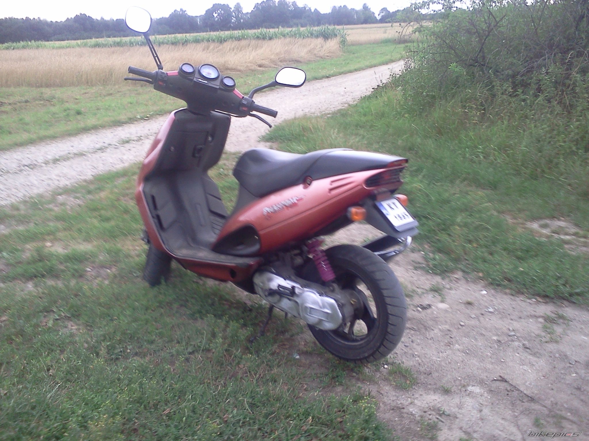 Photo 2429134