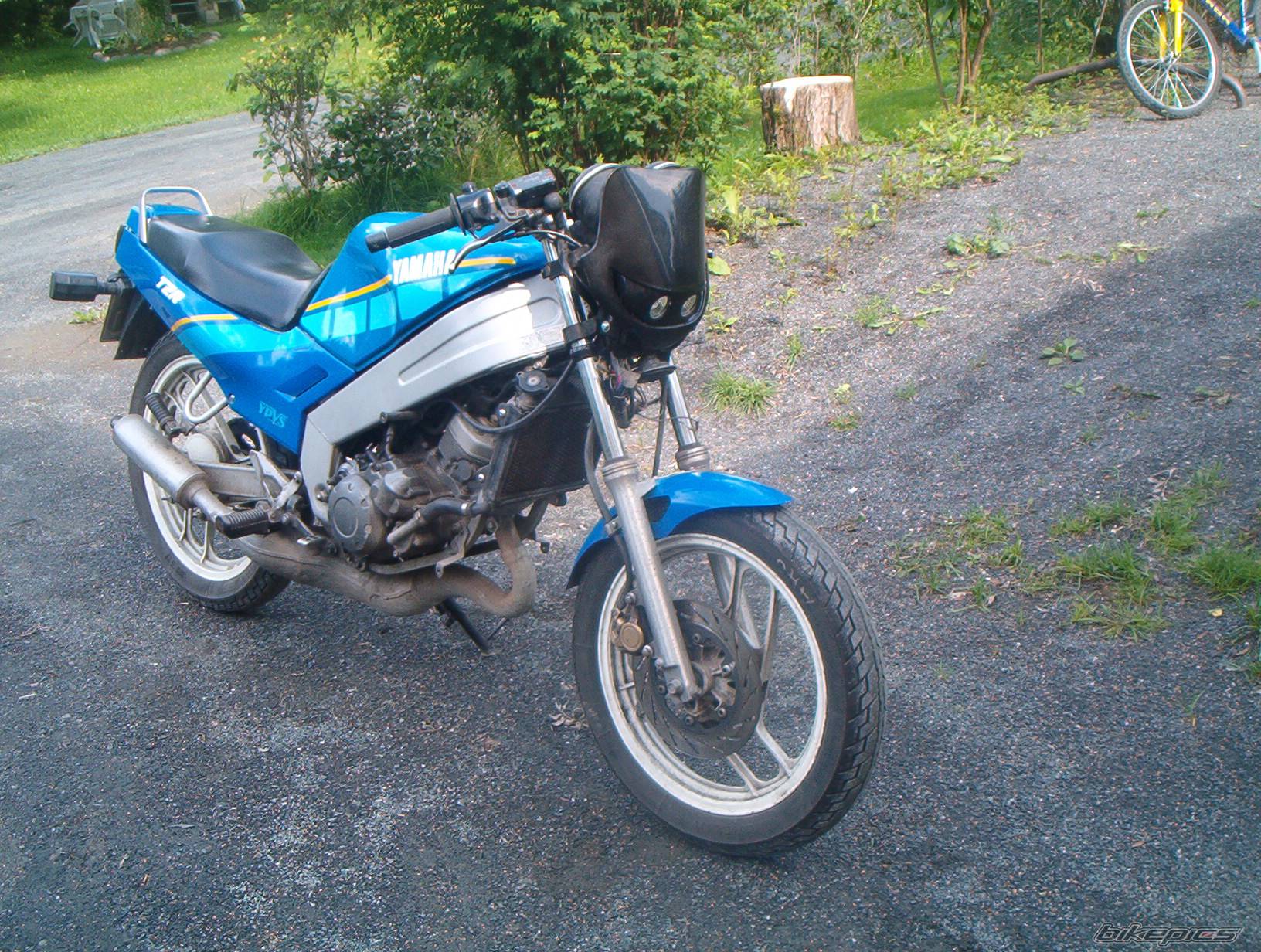 Photo 242915
