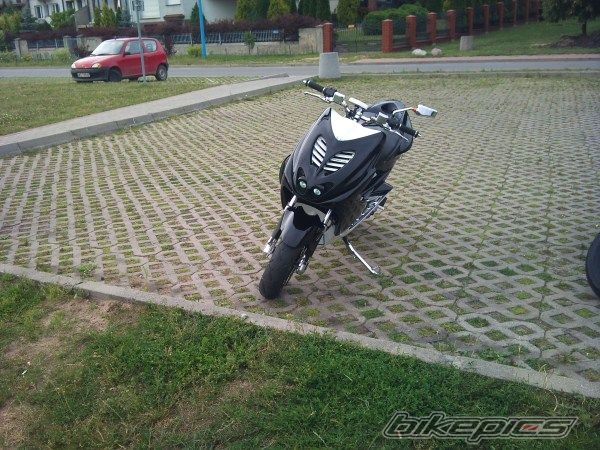 Photo 2429273