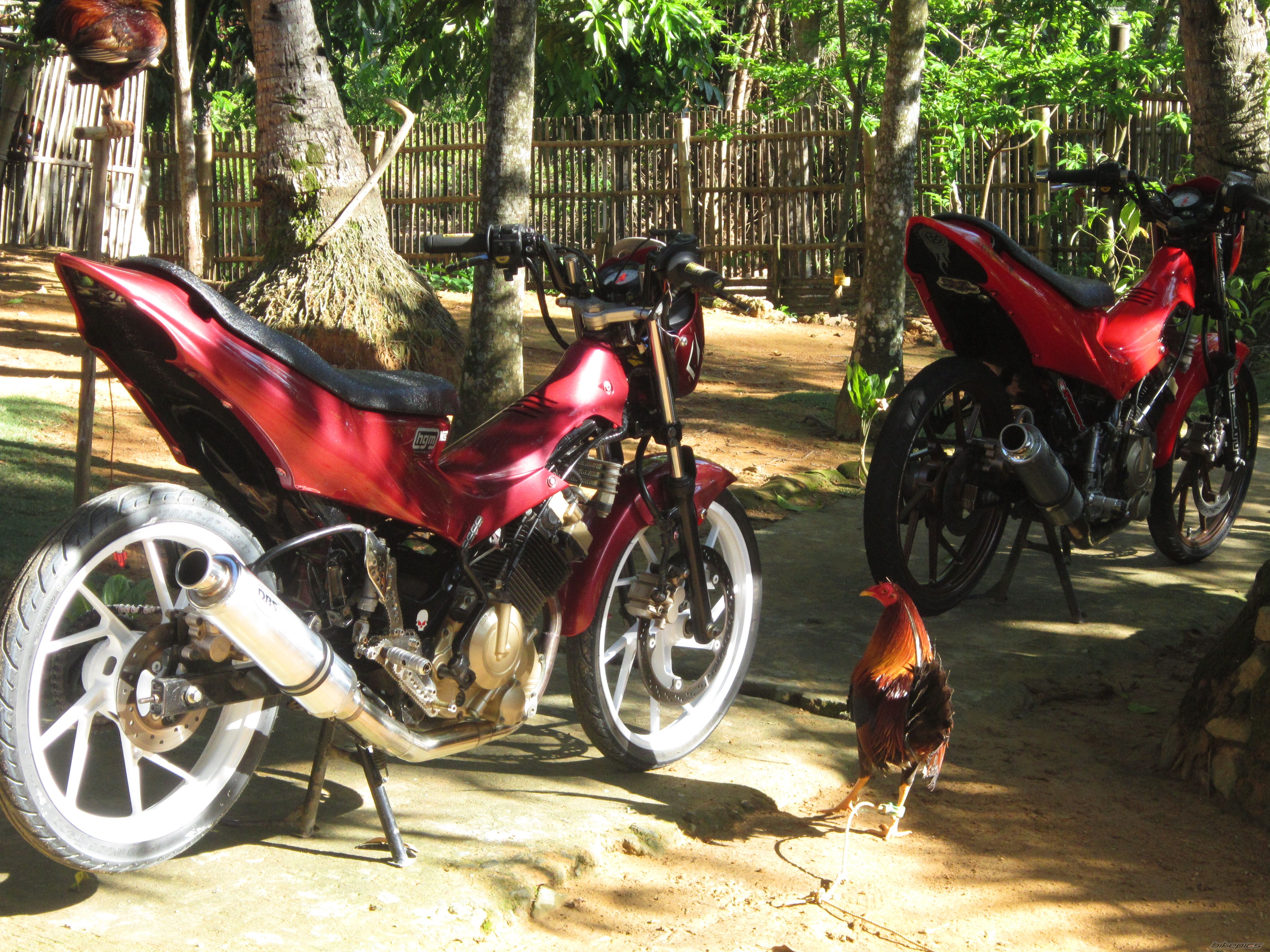 Photo 2429351