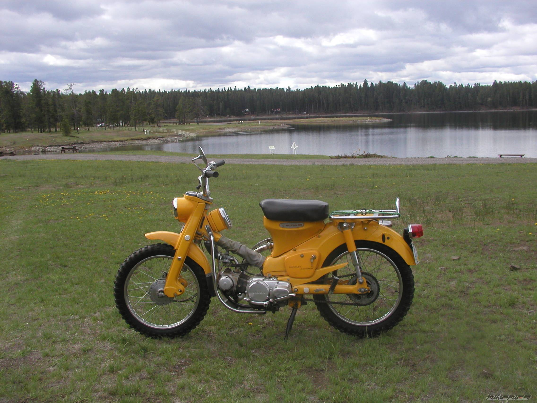 Photo 242953
