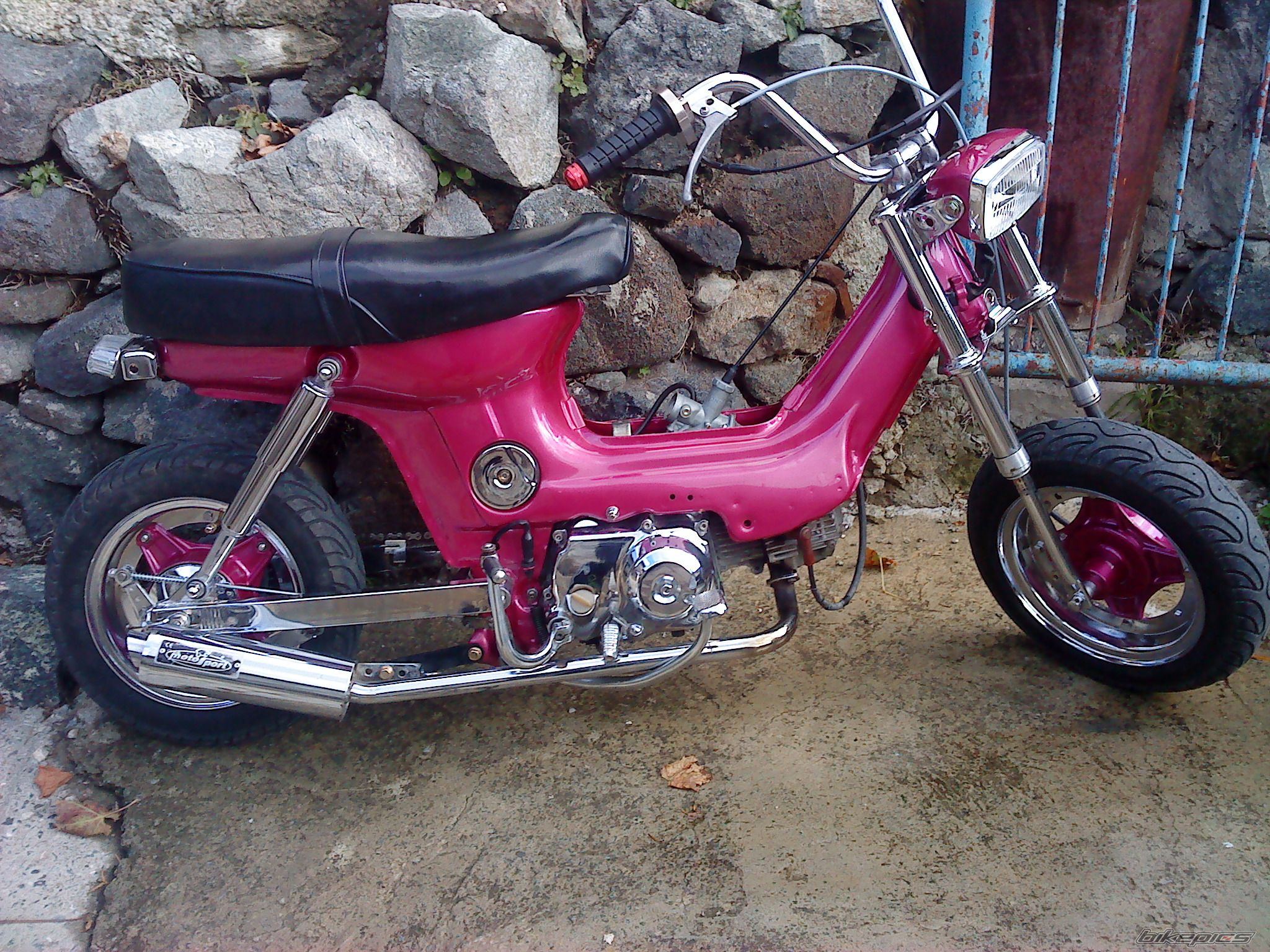 Photo 2429543