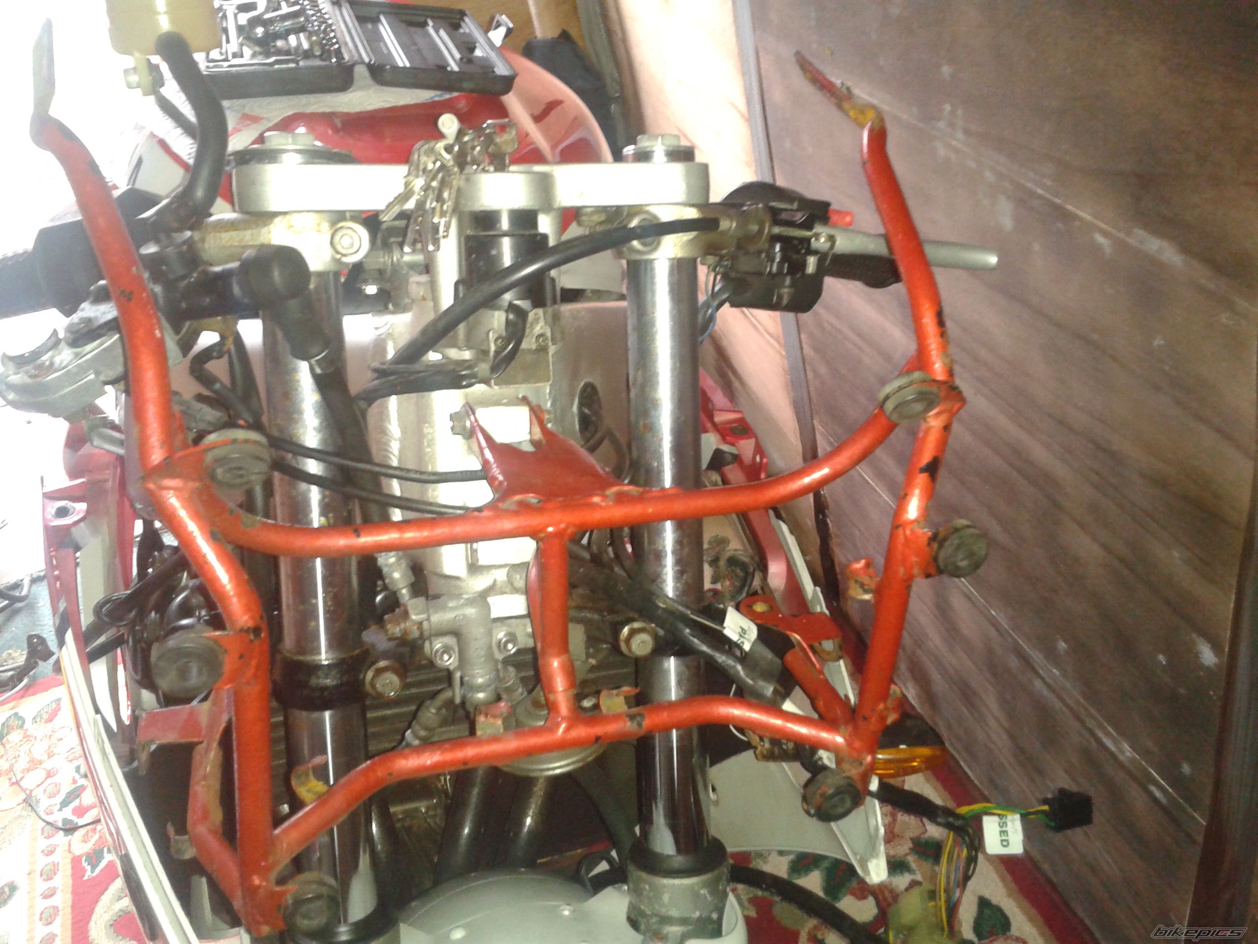 Photo 2429547