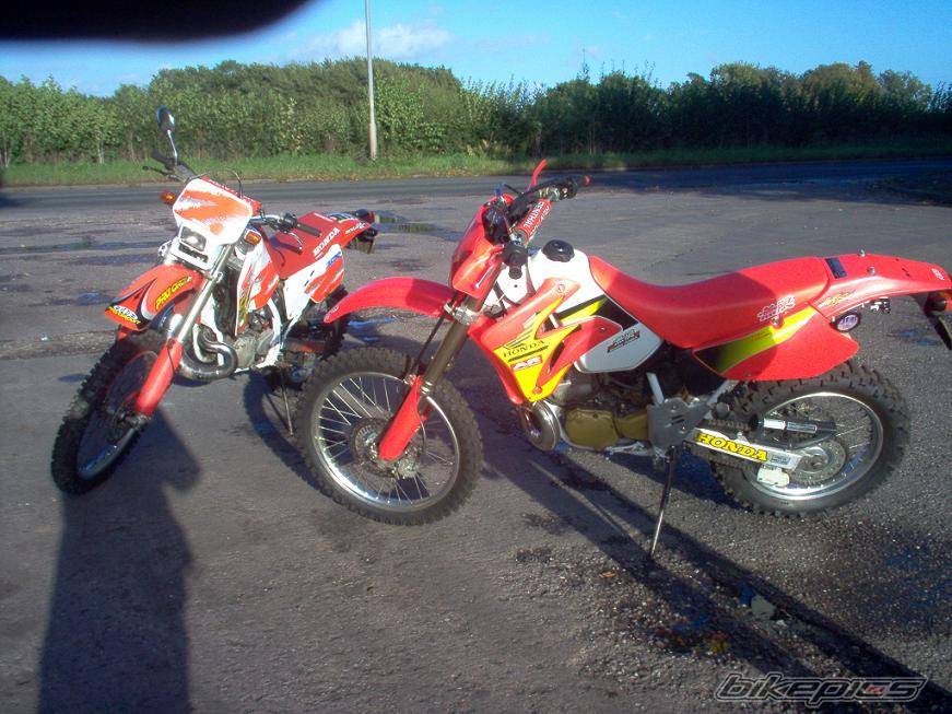 Bike Photo 242955