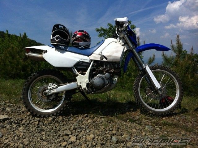 Photo 2429569