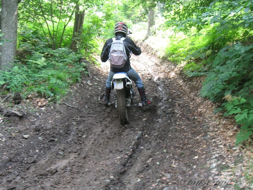 Bike Photo 2429573