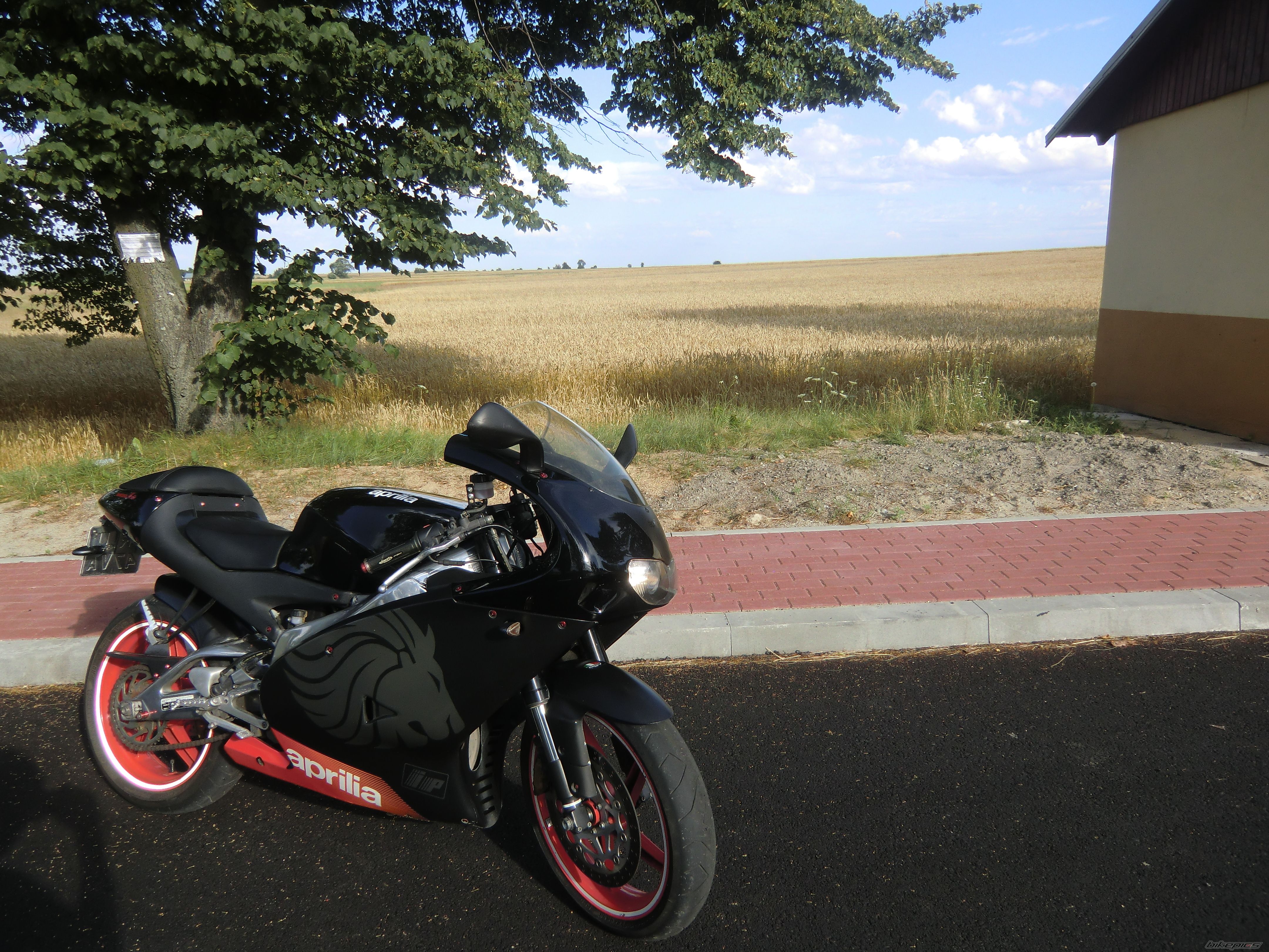 Photo 2429589