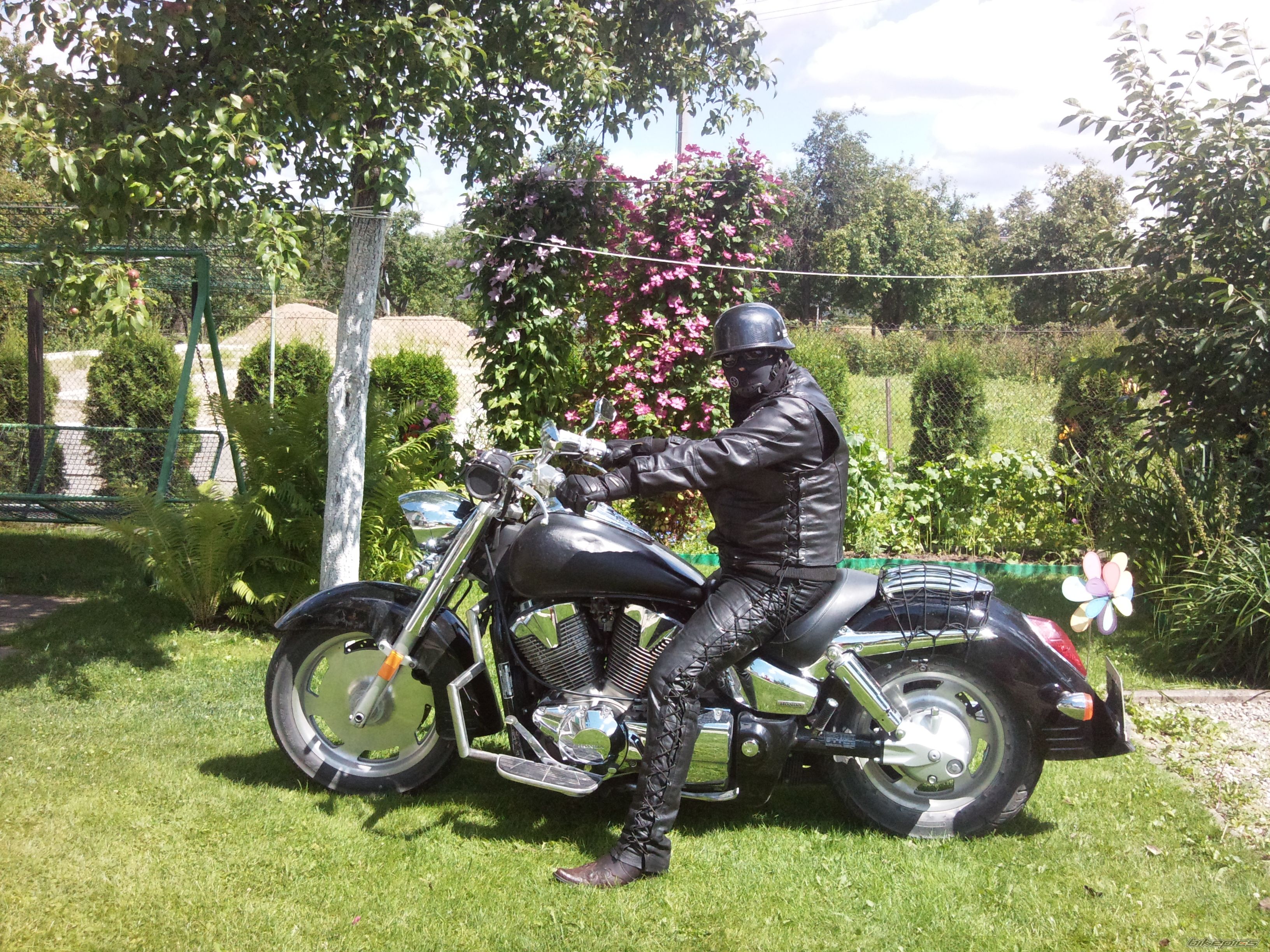 Photo 2429615