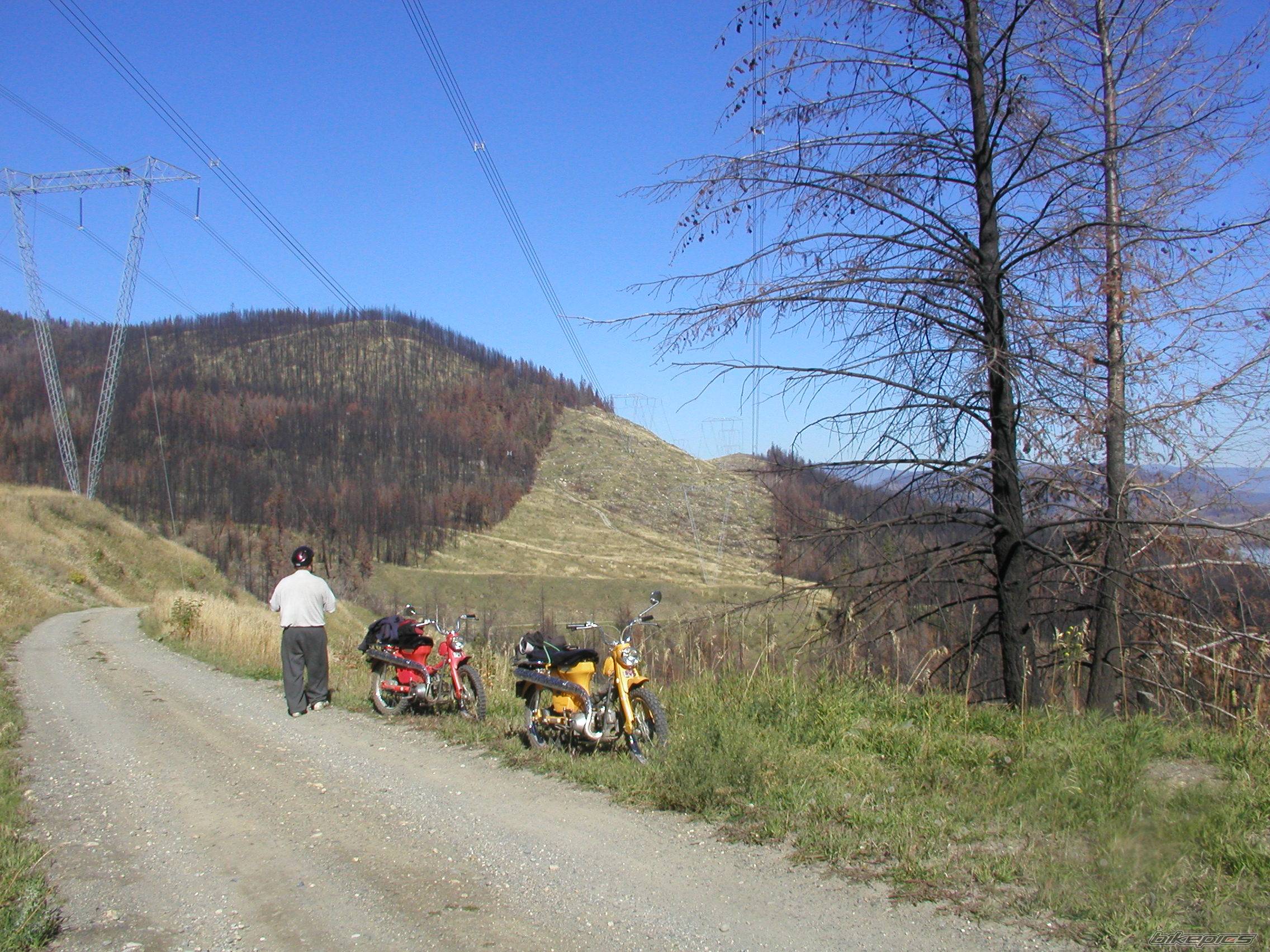 Photo 242964