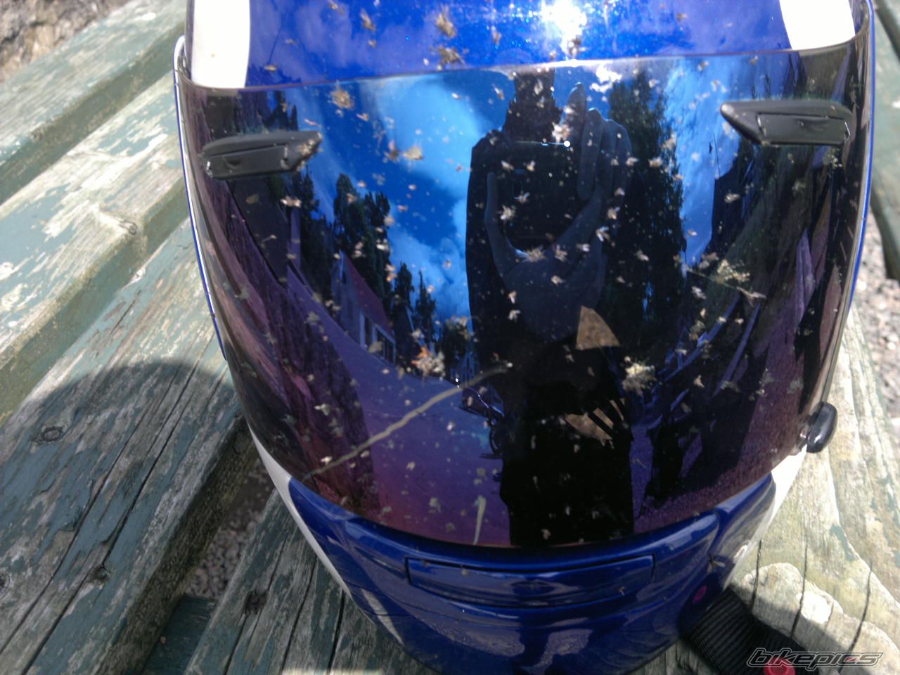 Photo 2429643