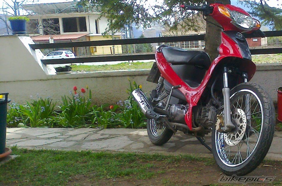 Photo 2429659