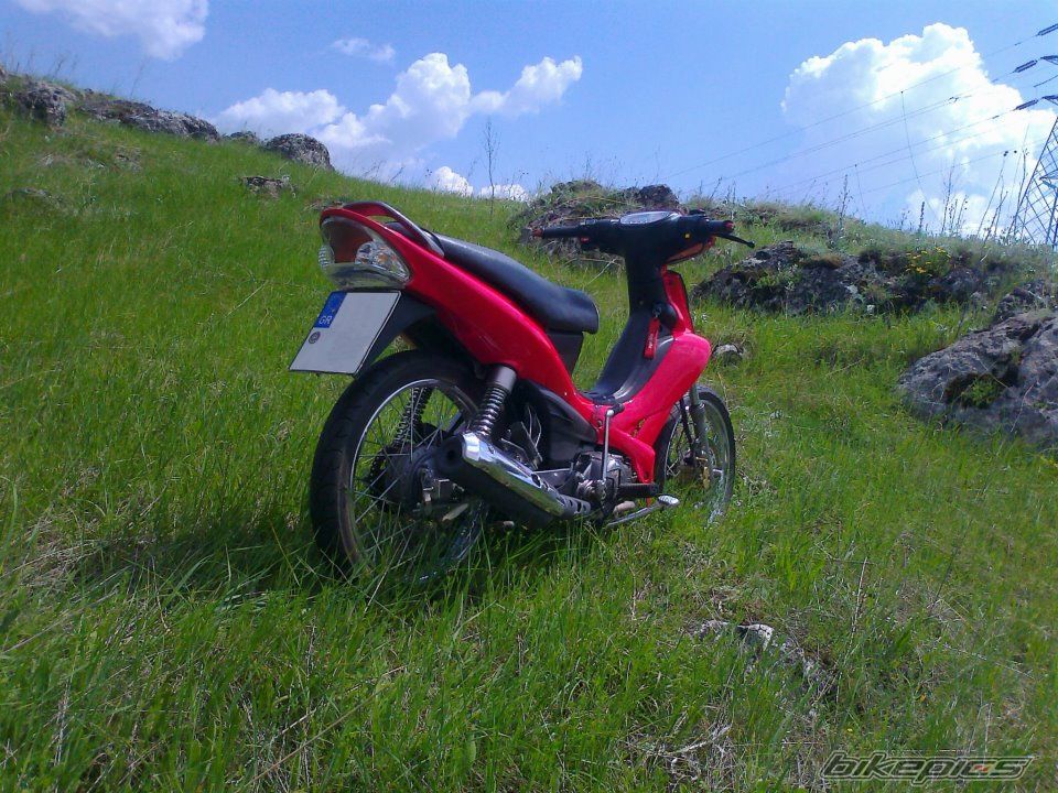 Photo 2429664