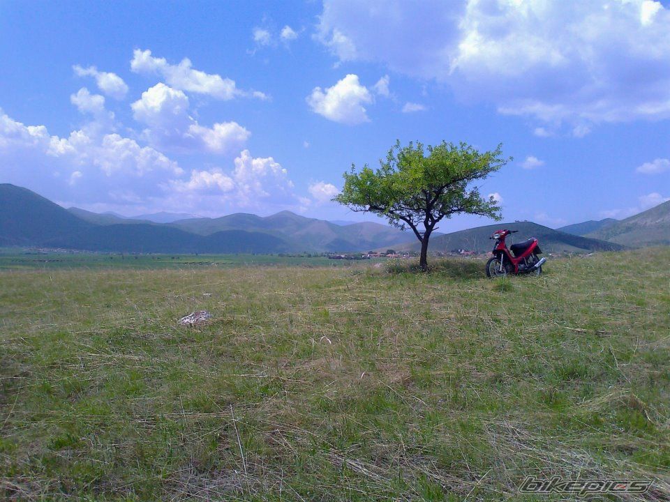 Bike Photo 2429669