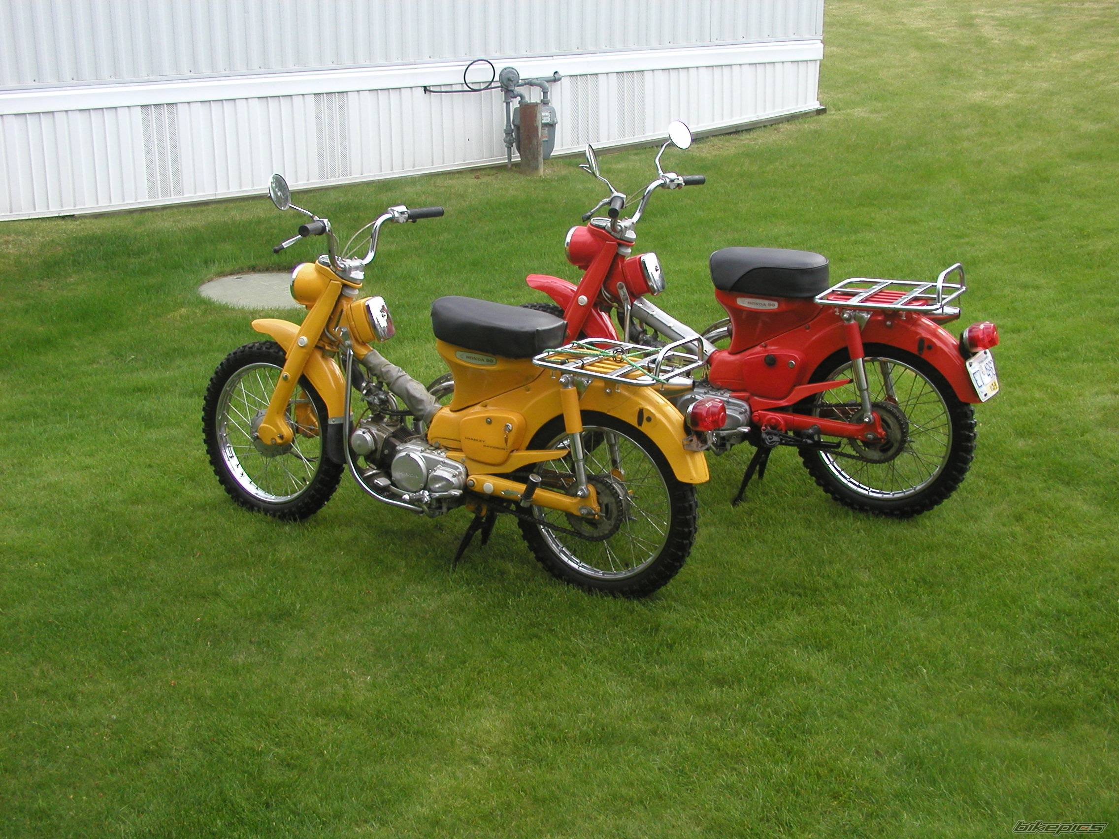 Photo 242968