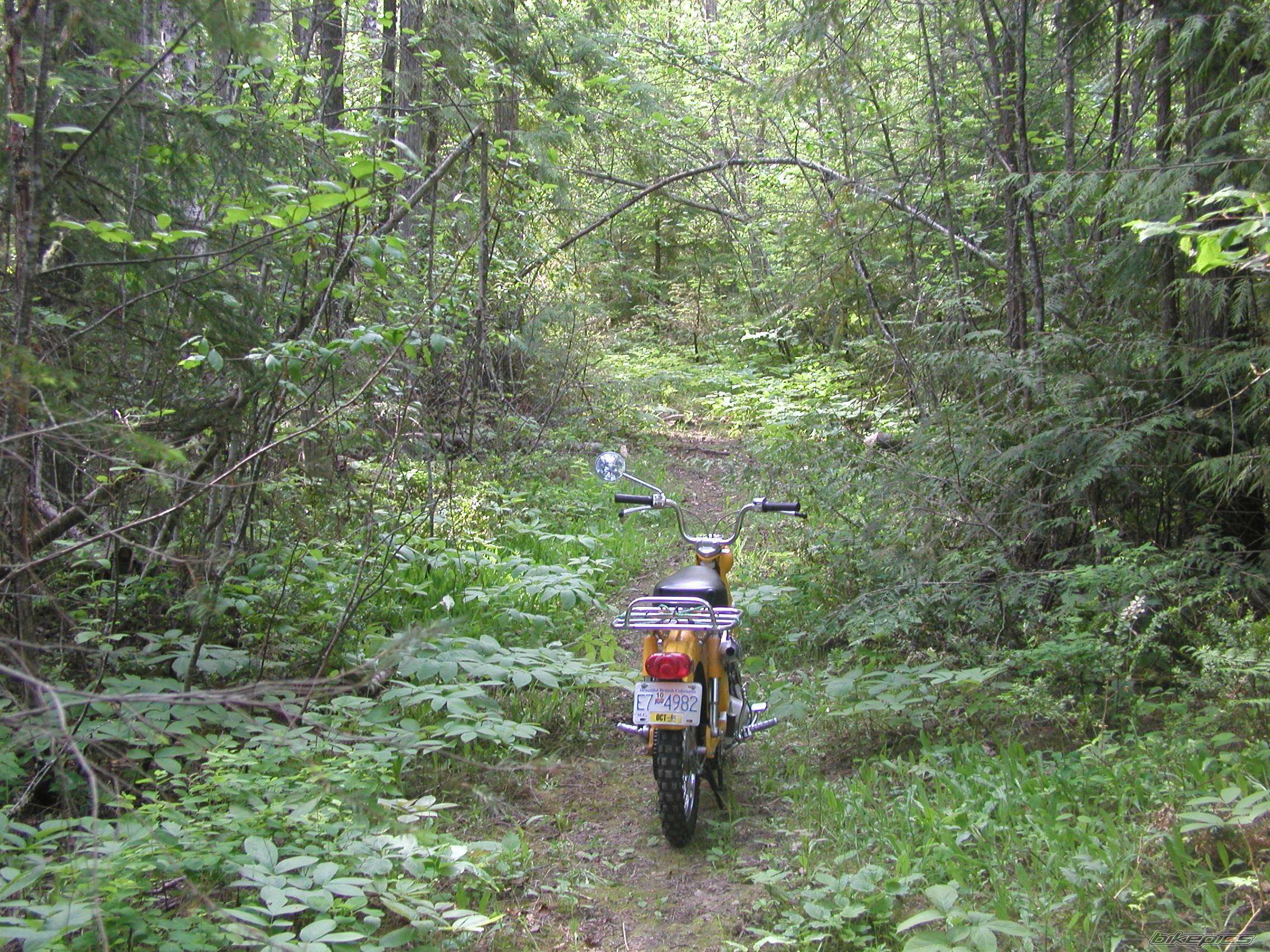Photo 242971