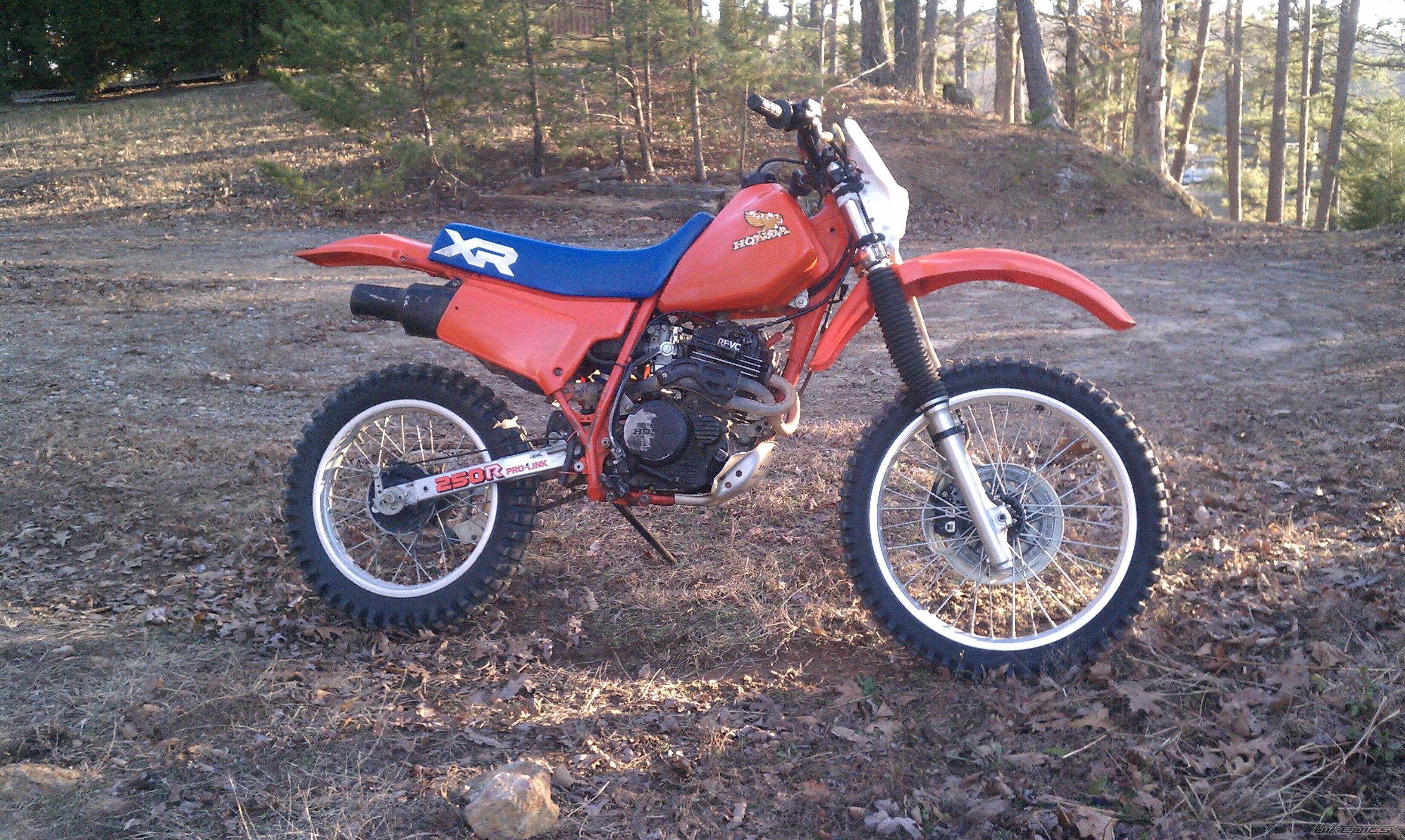 Photo 2429793
